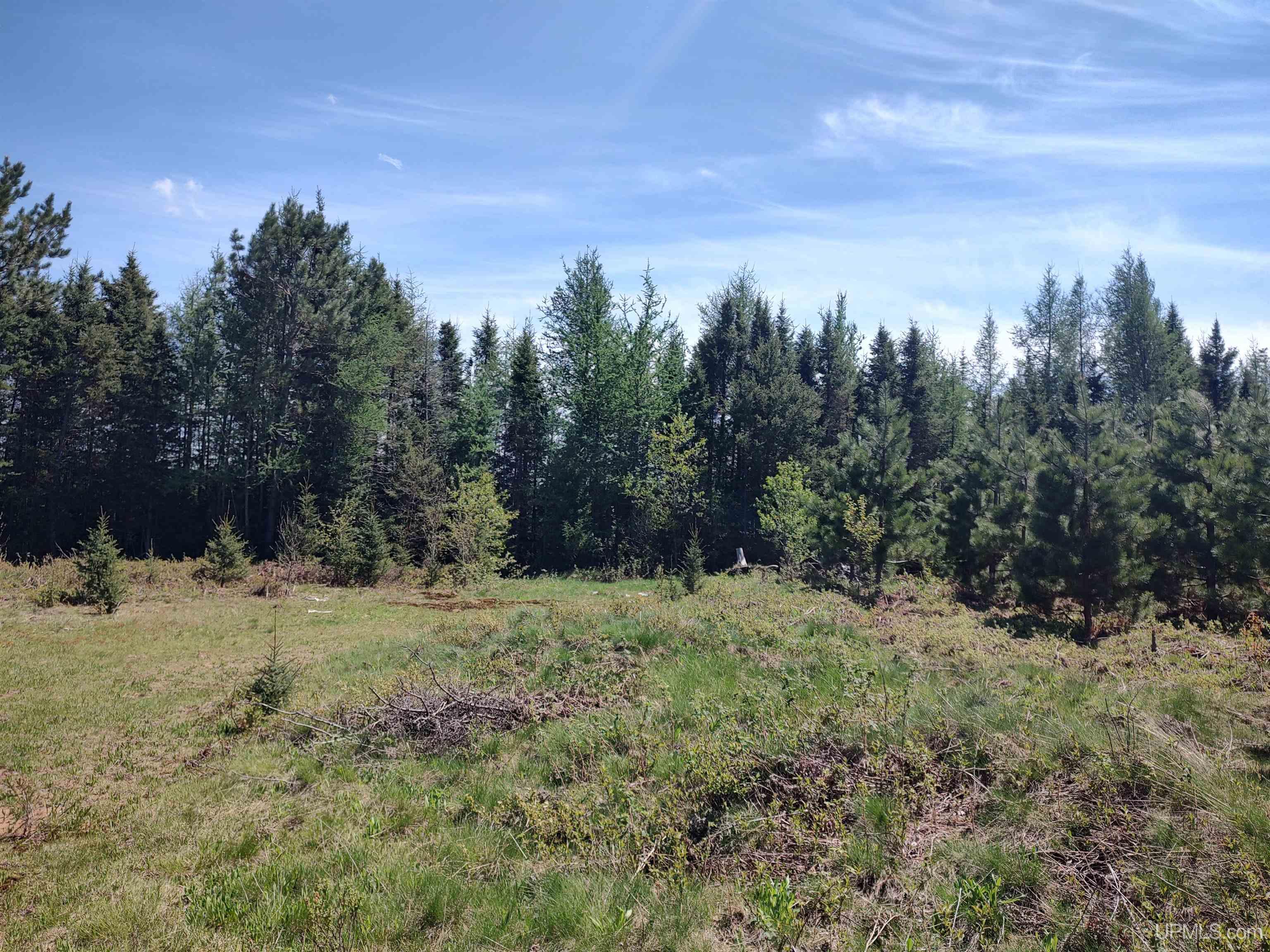 58 Acres Co Rd Fn Road Property Photo 20