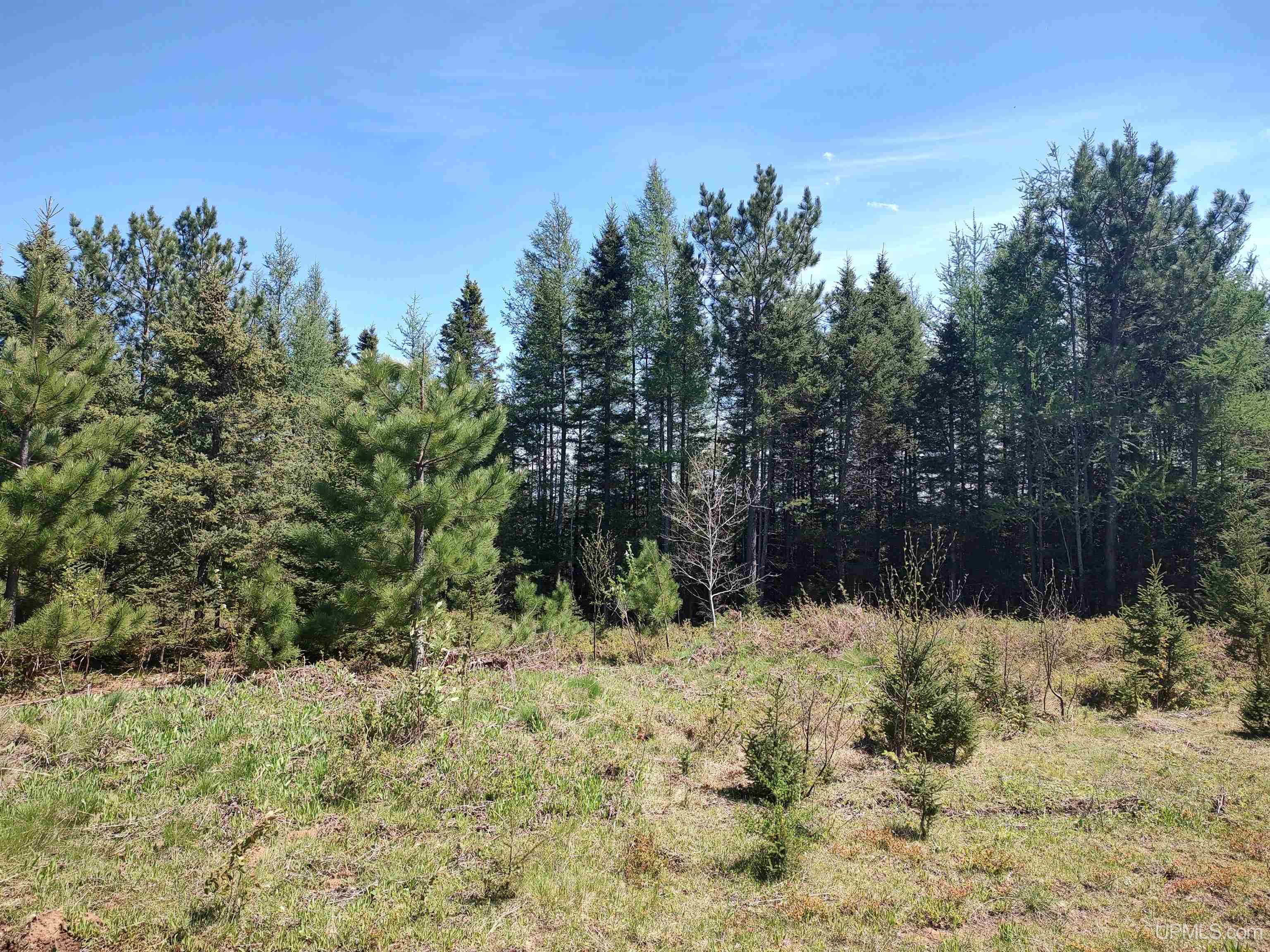 58 Acres Co Rd Fn Road Property Photo 21