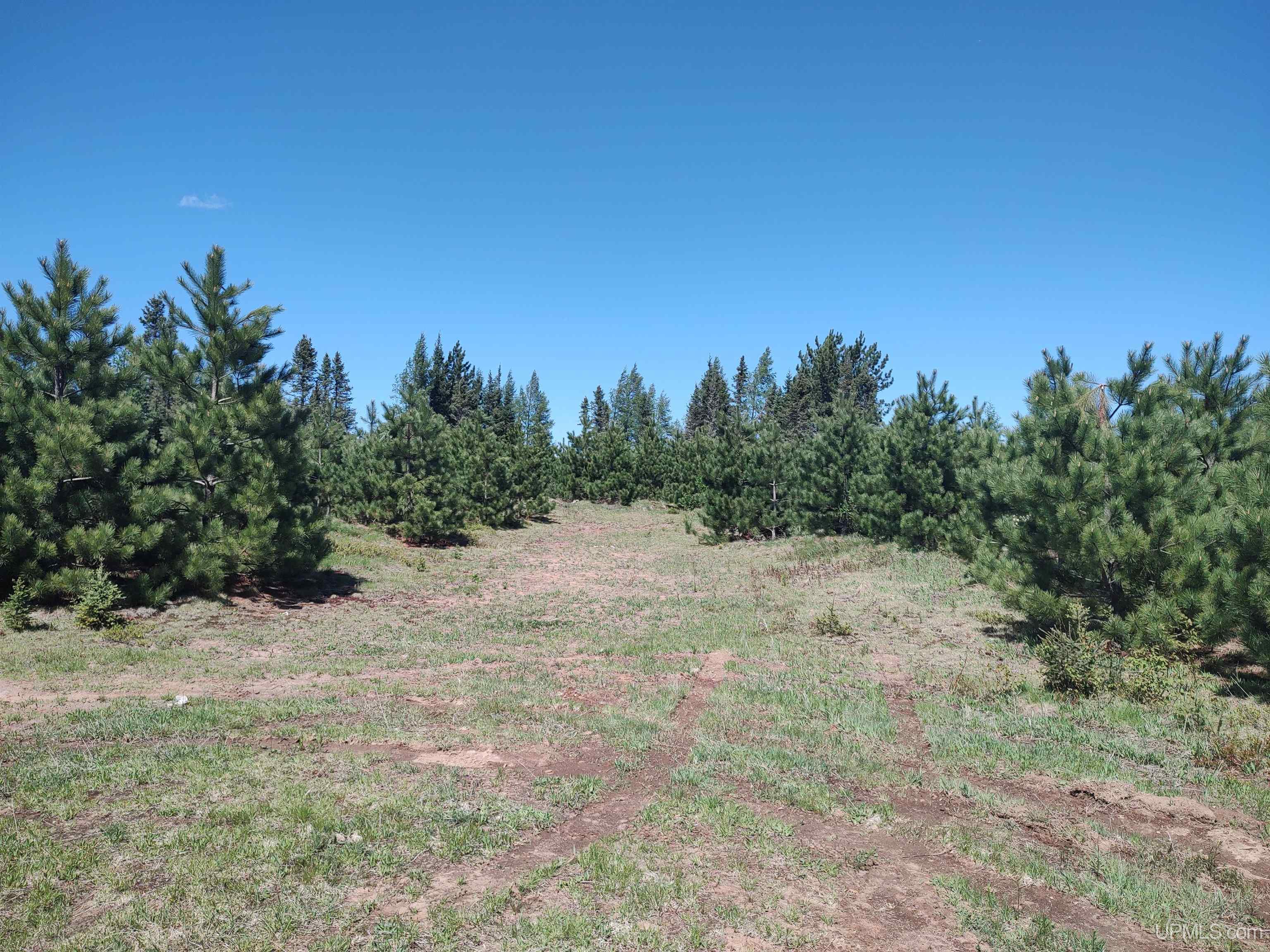58 Acres Co Rd Fn Road Property Photo 22