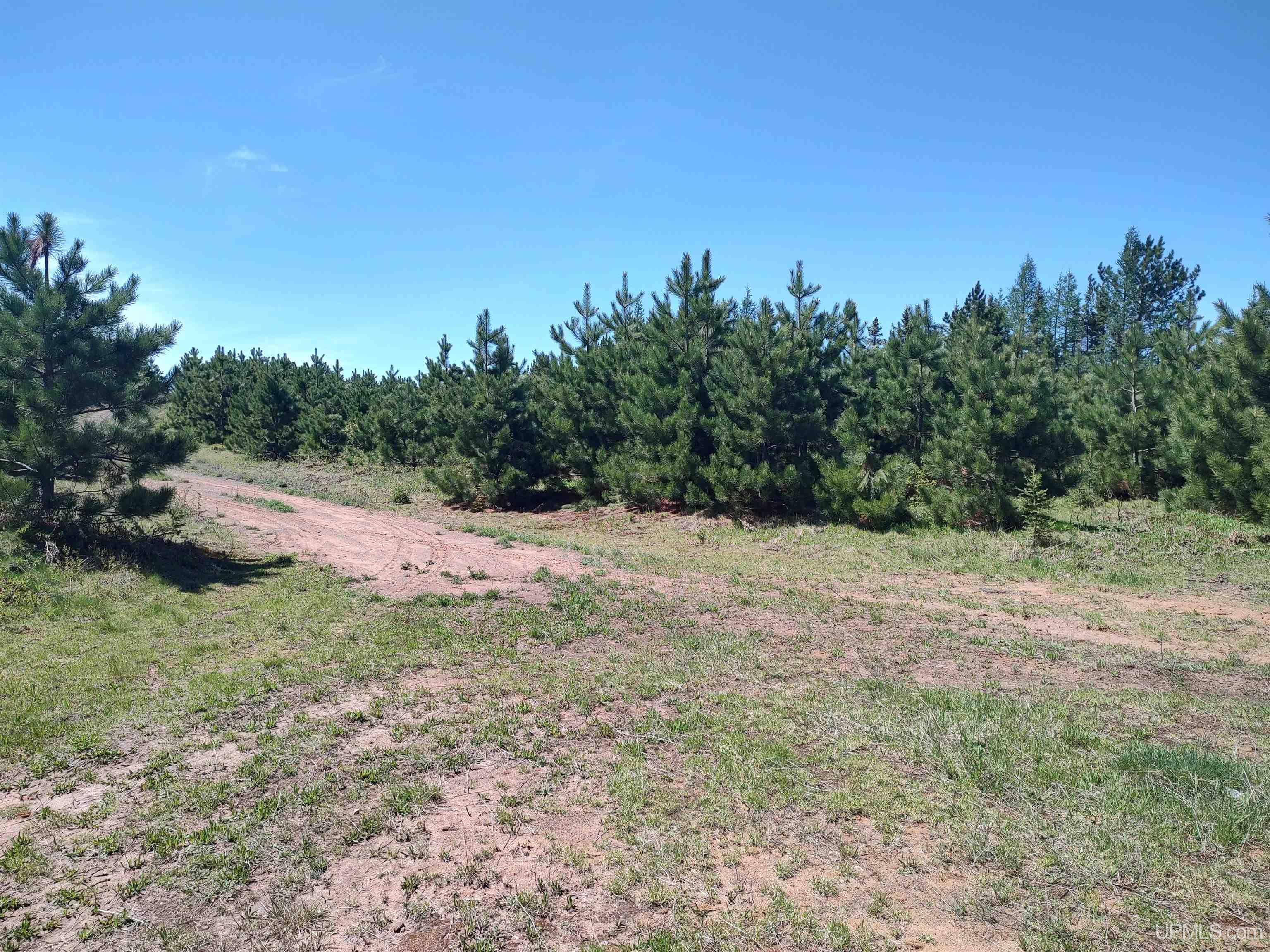 58 Acres Co Rd Fn Road Property Photo 23