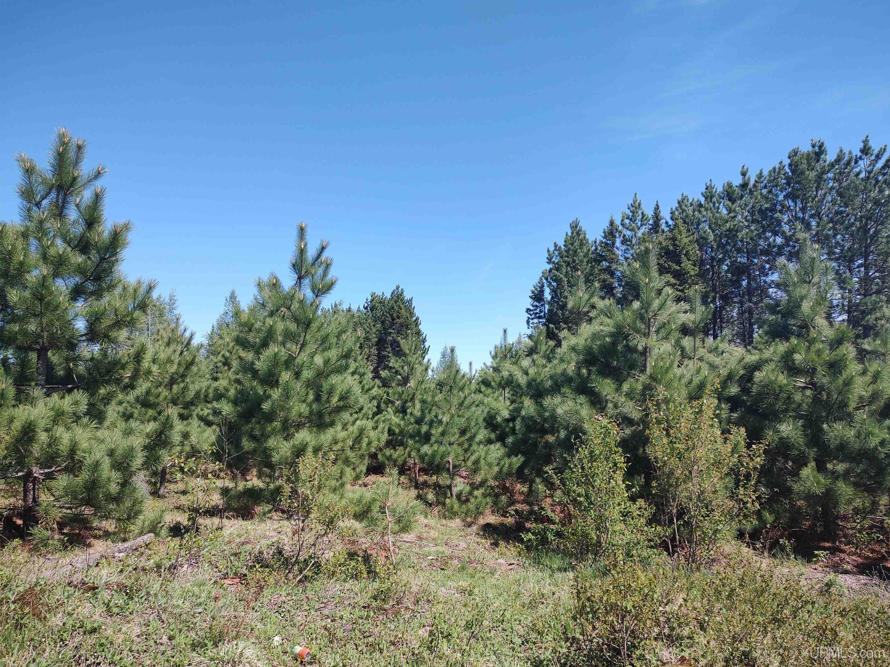 58 Acres Co Rd Fn Road Property Photo 24