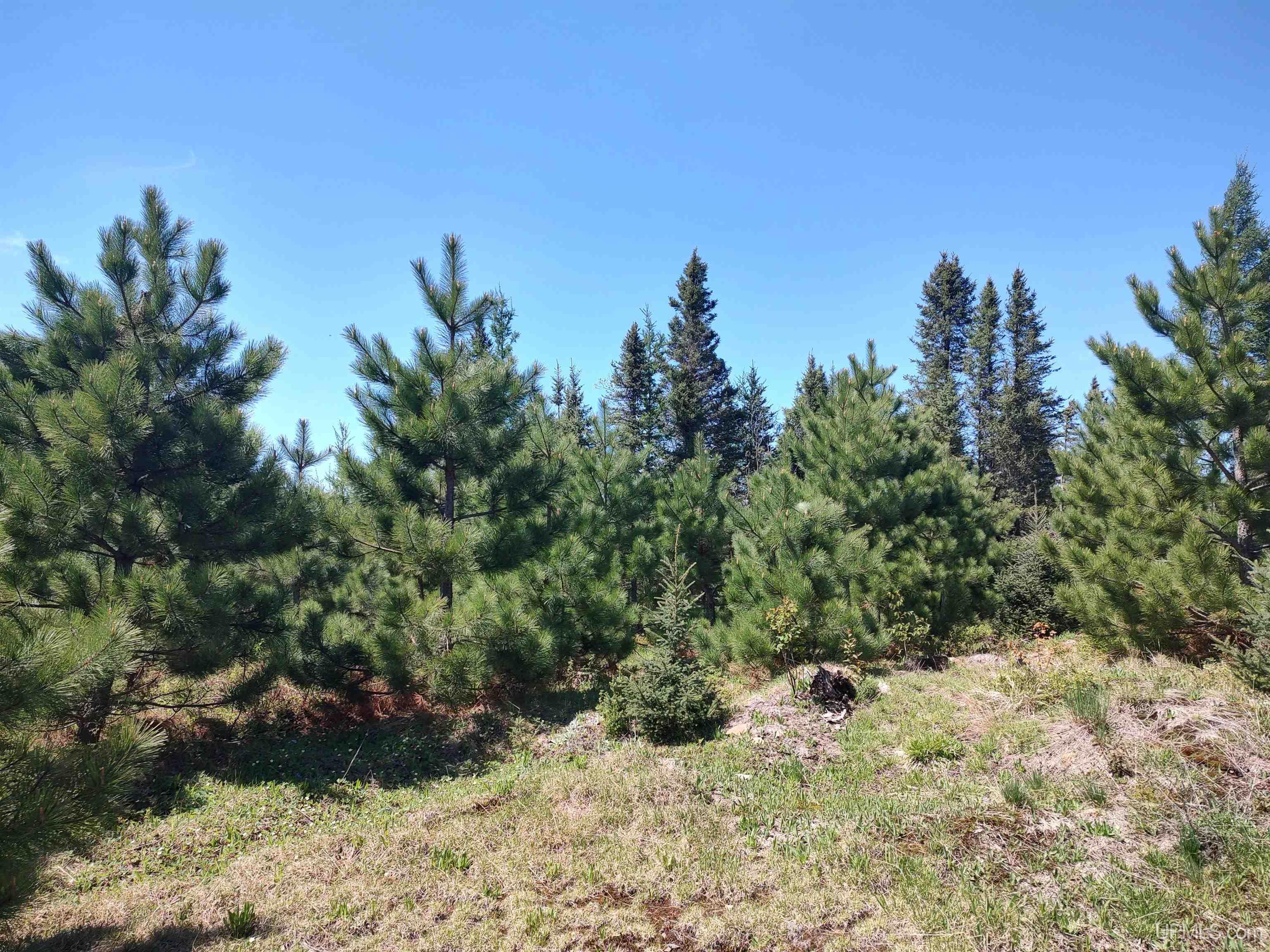 58 Acres Co Rd Fn Road Property Photo 25