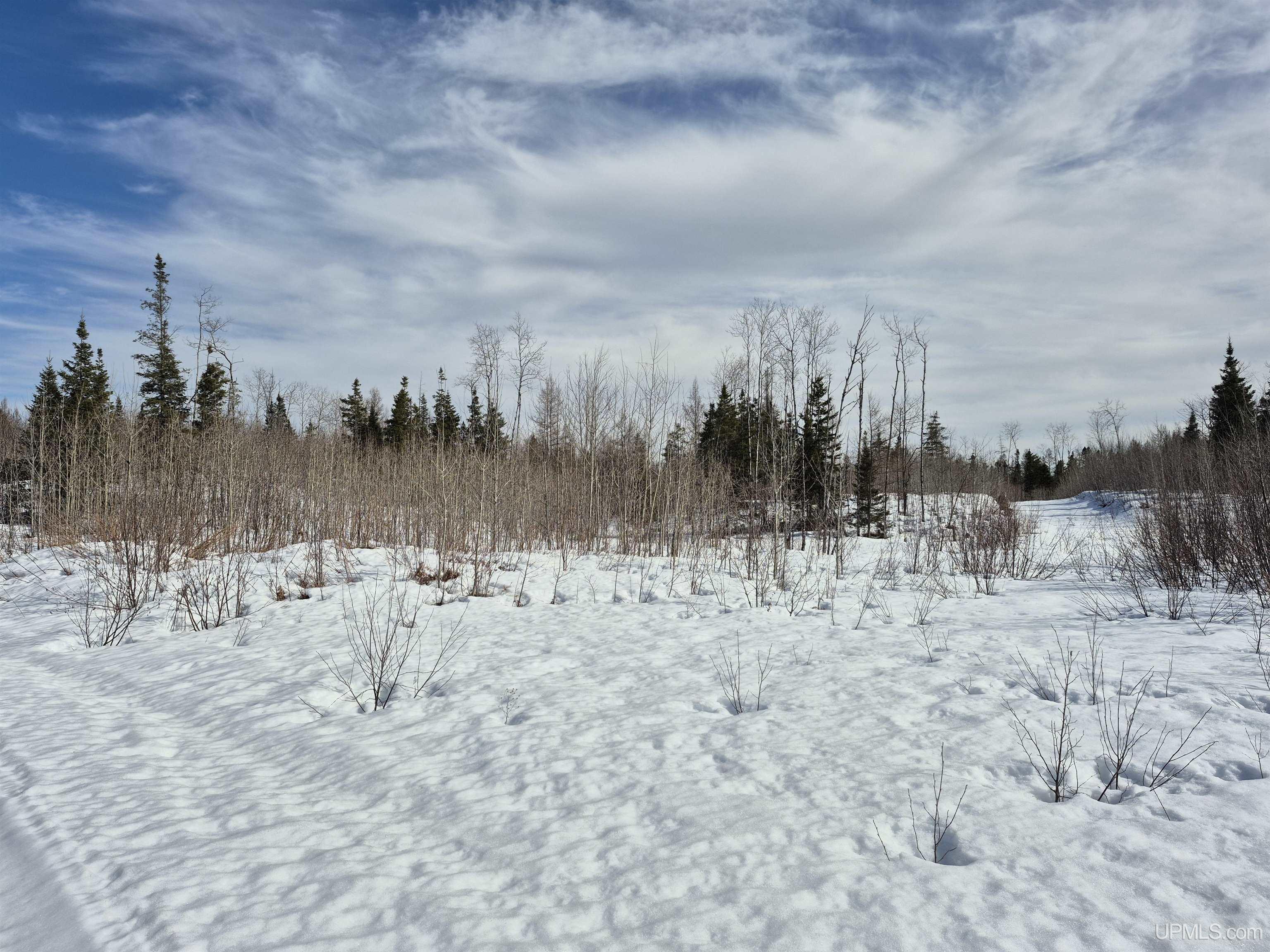 80 Acres 18 Road Property Photo 2