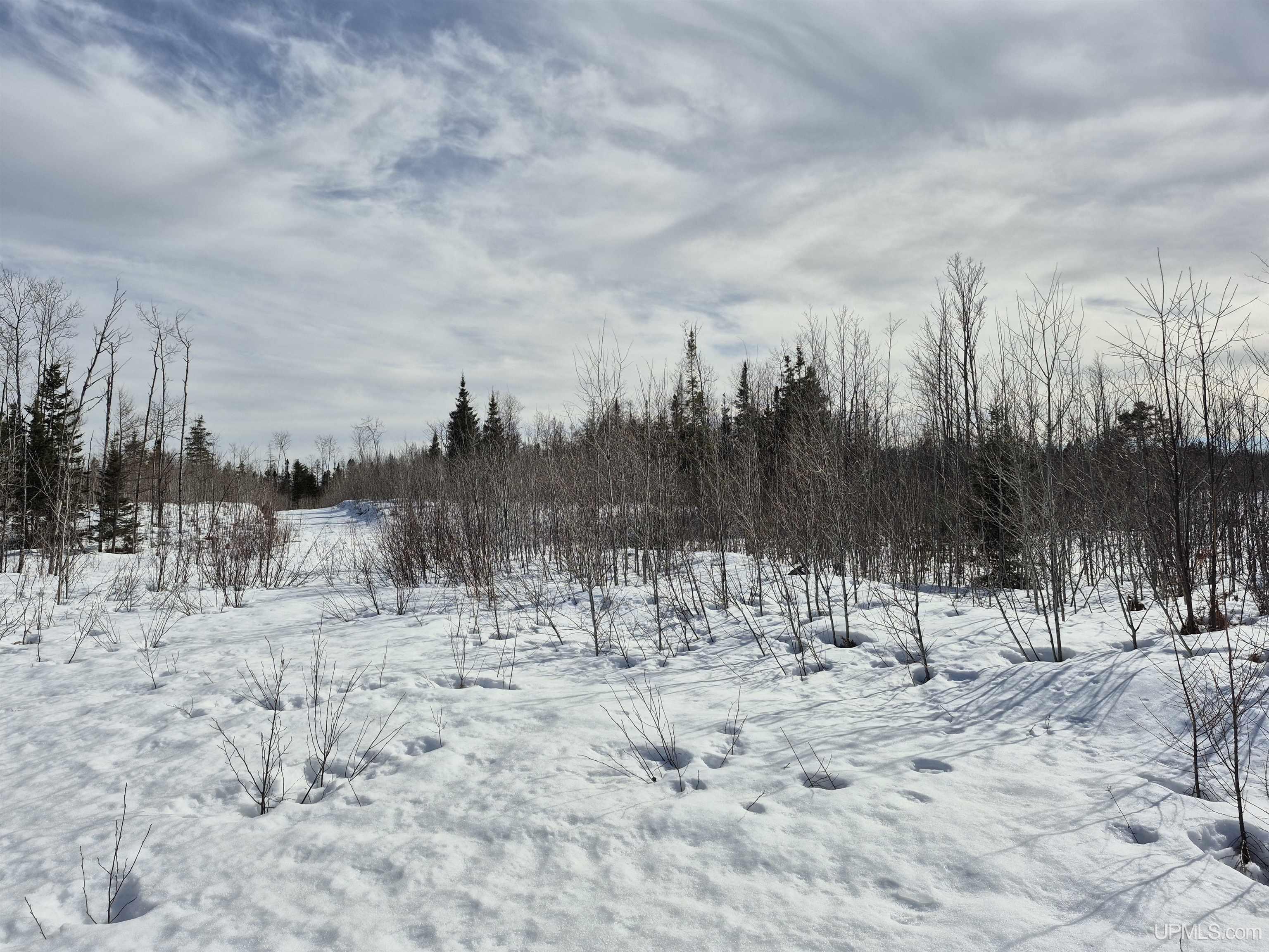 80 Acres 18 Road Property Photo 3