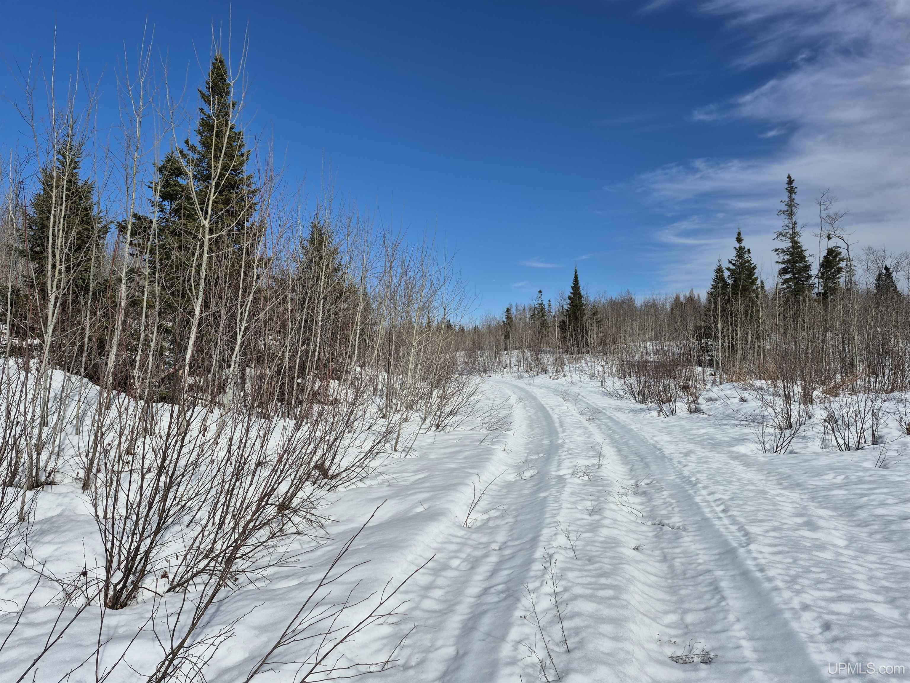 80 Acres 18 Road Property Photo 4