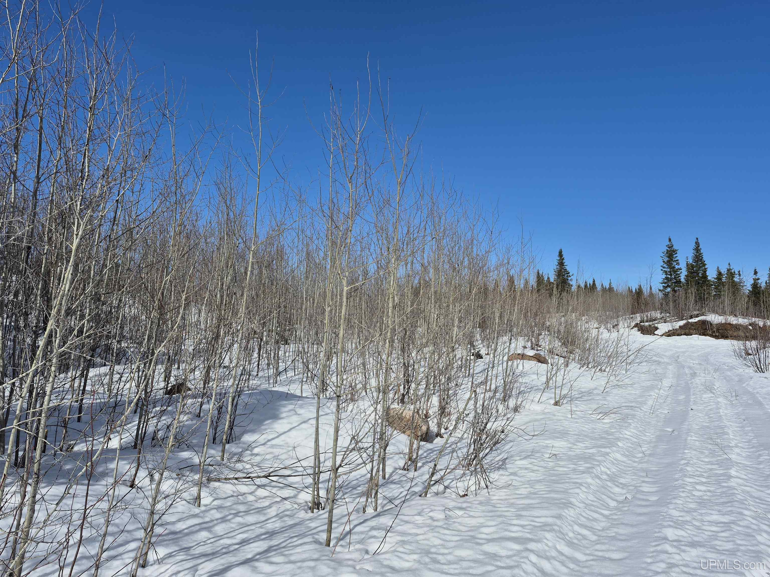 80 Acres 18 Road Property Photo 5