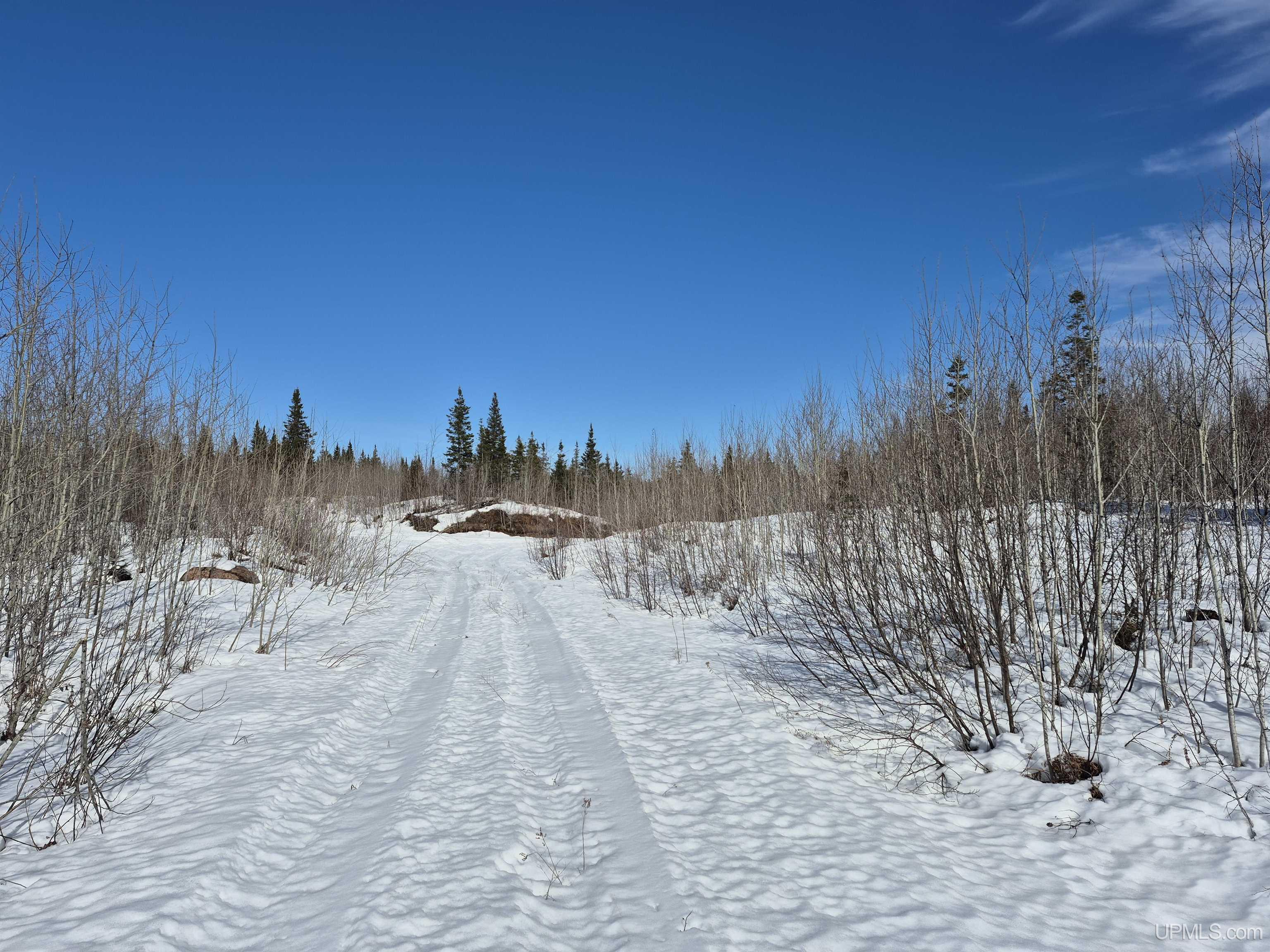 80 Acres 18 Road Property Photo 6