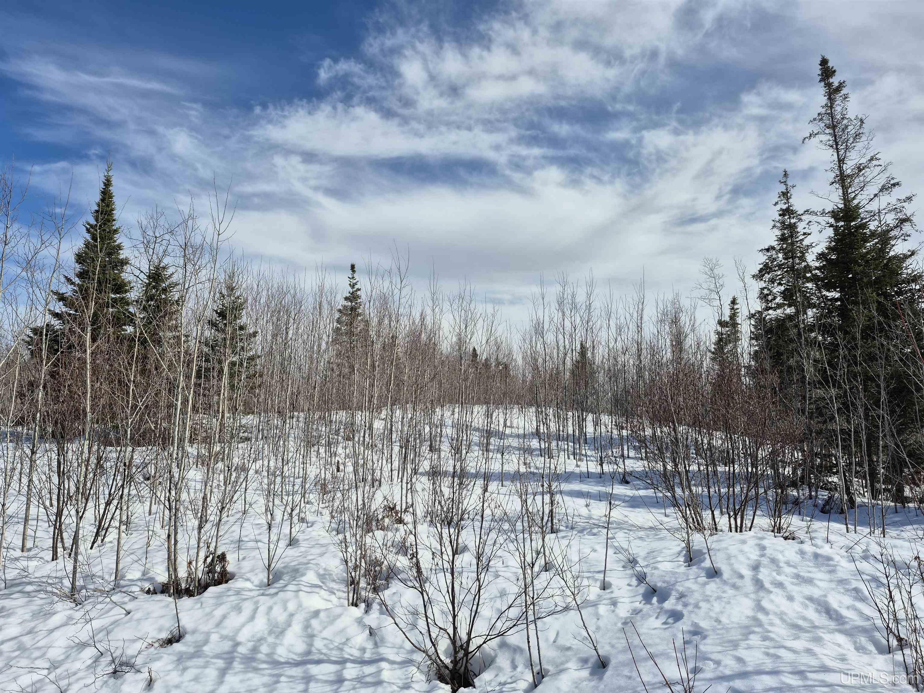 80 Acres 18 Road Property Photo 7
