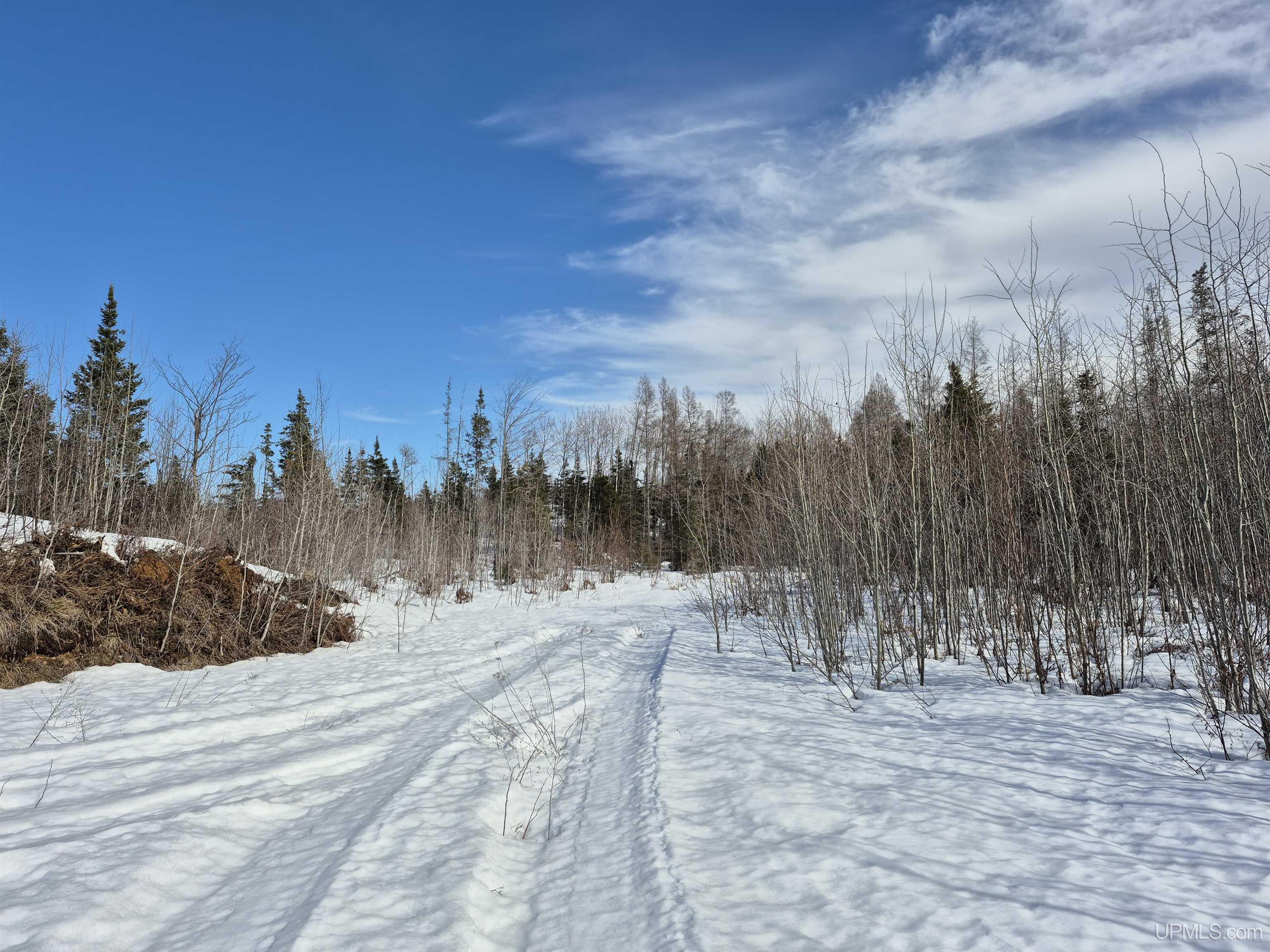 80 Acres 18 Road Property Photo 8