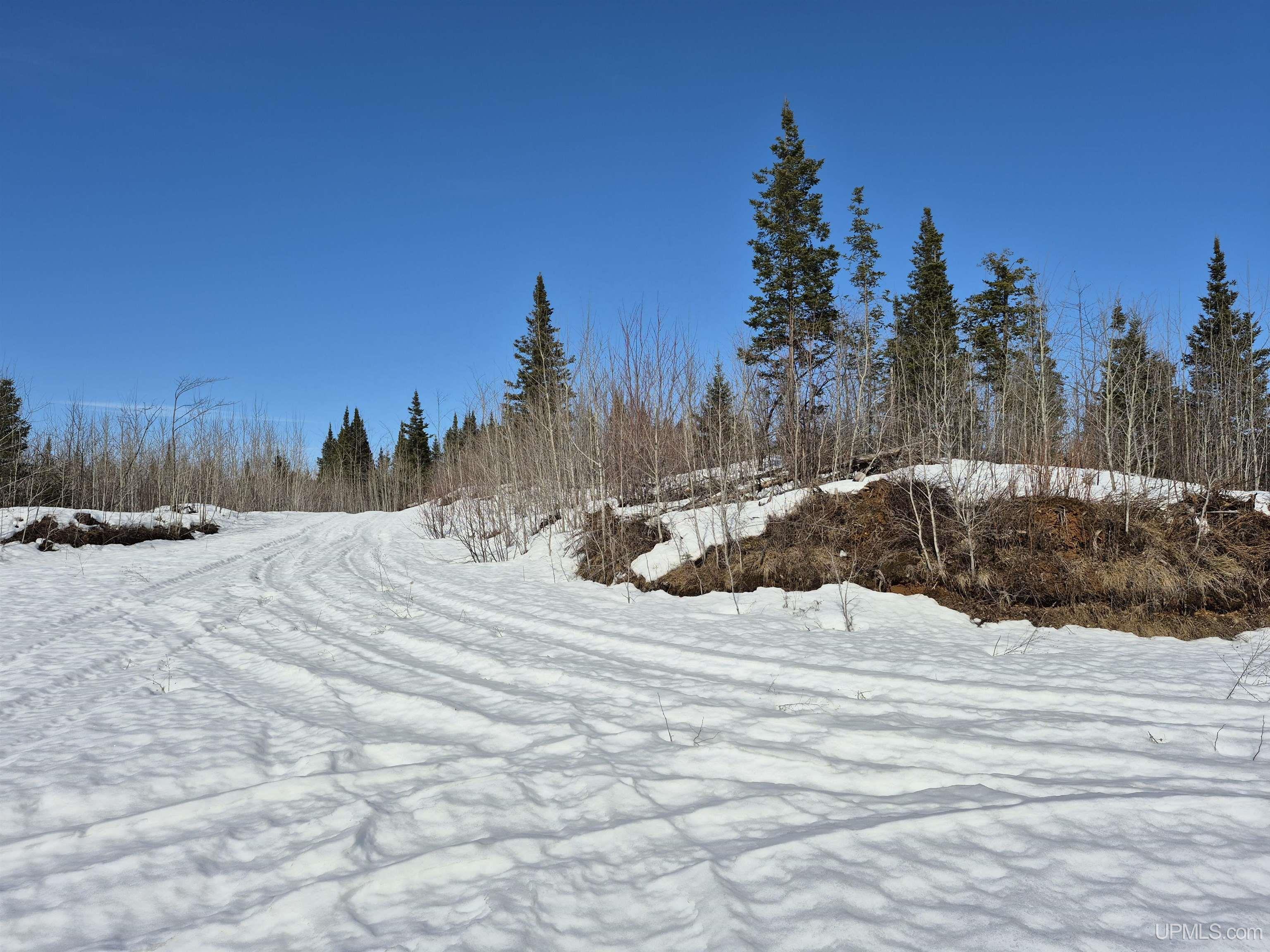 80 Acres 18 Road Property Photo 9