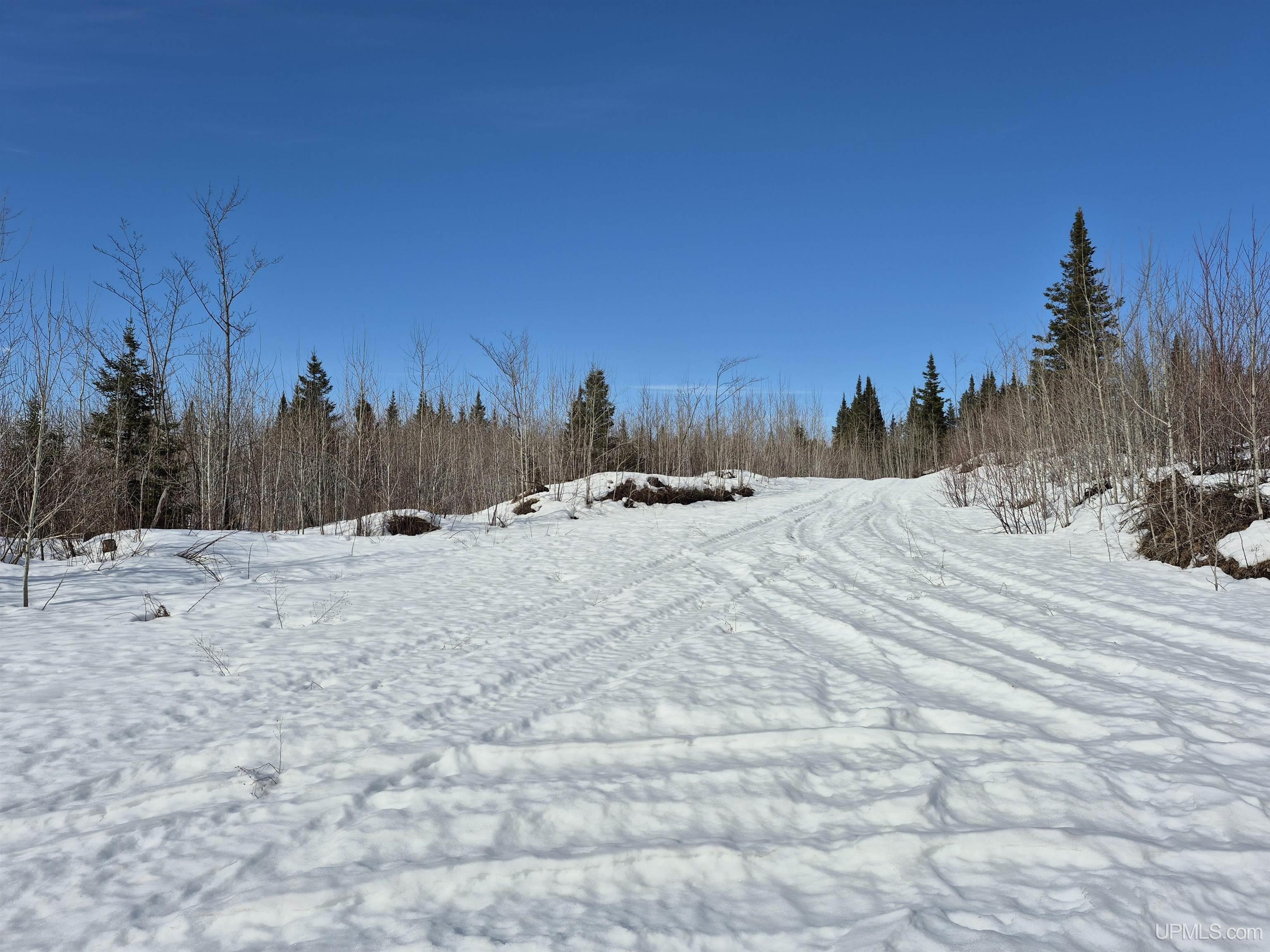 80 Acres 18 Road Property Photo 10