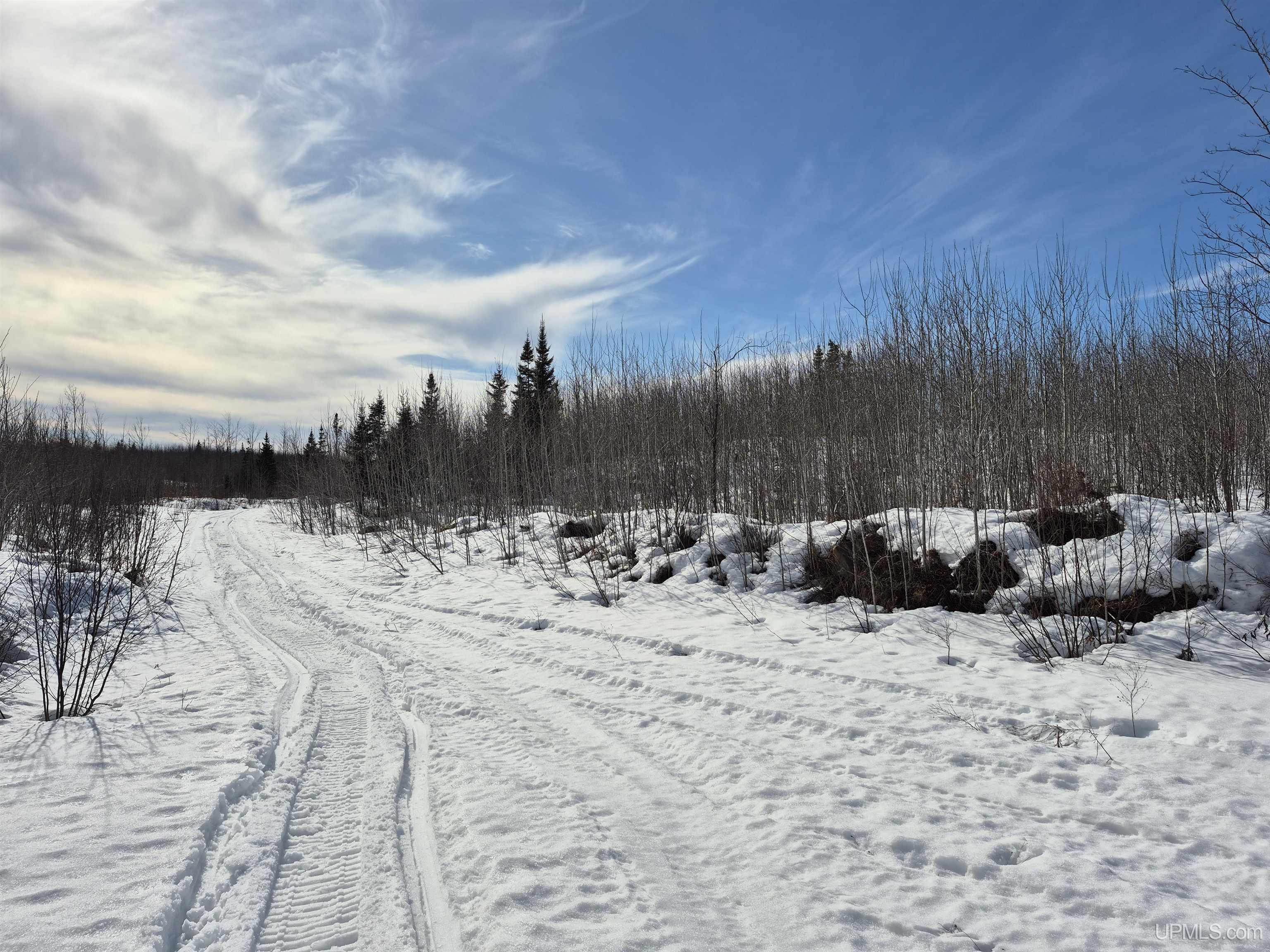 80 Acres 18 Road Property Photo 11