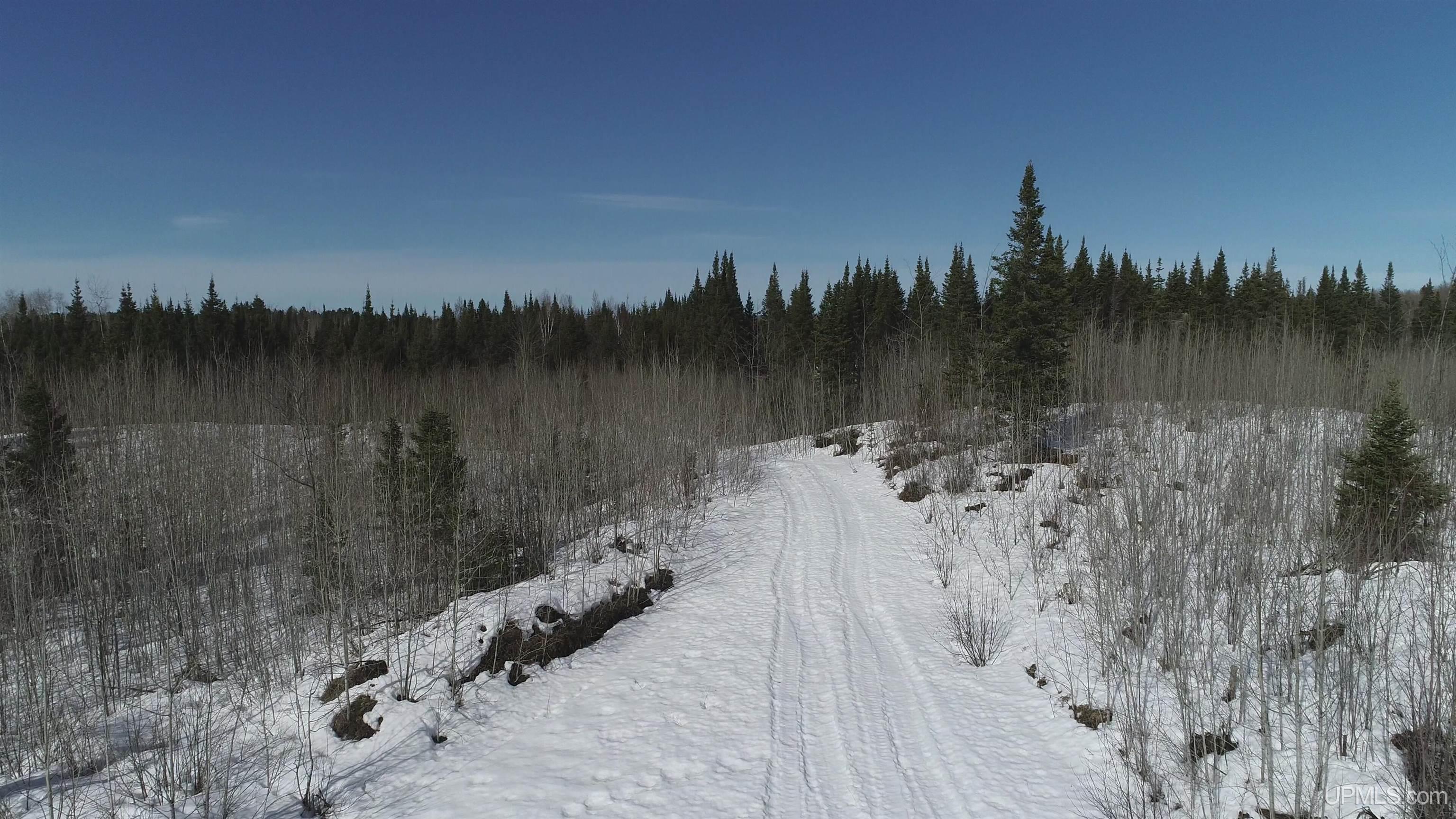 80 Acres 18 Road Property Photo 12