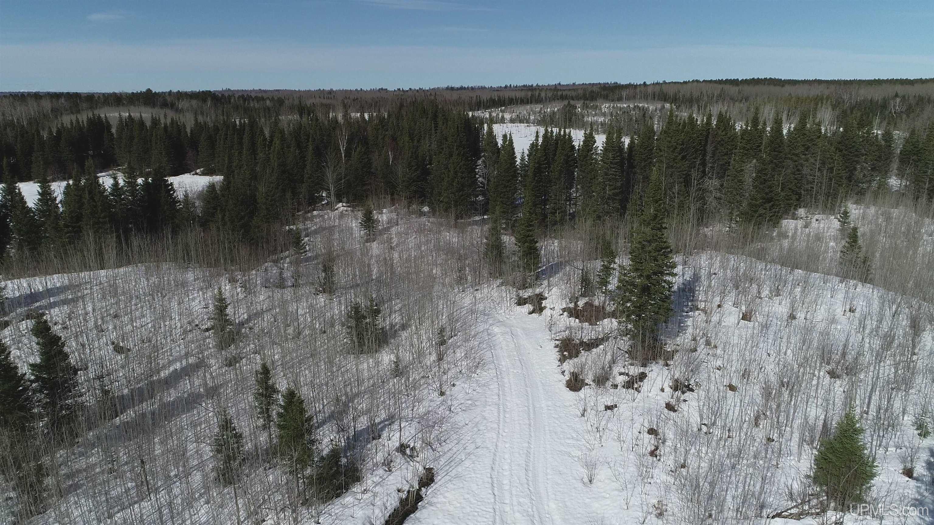 80 Acres 18 Road Property Photo 13