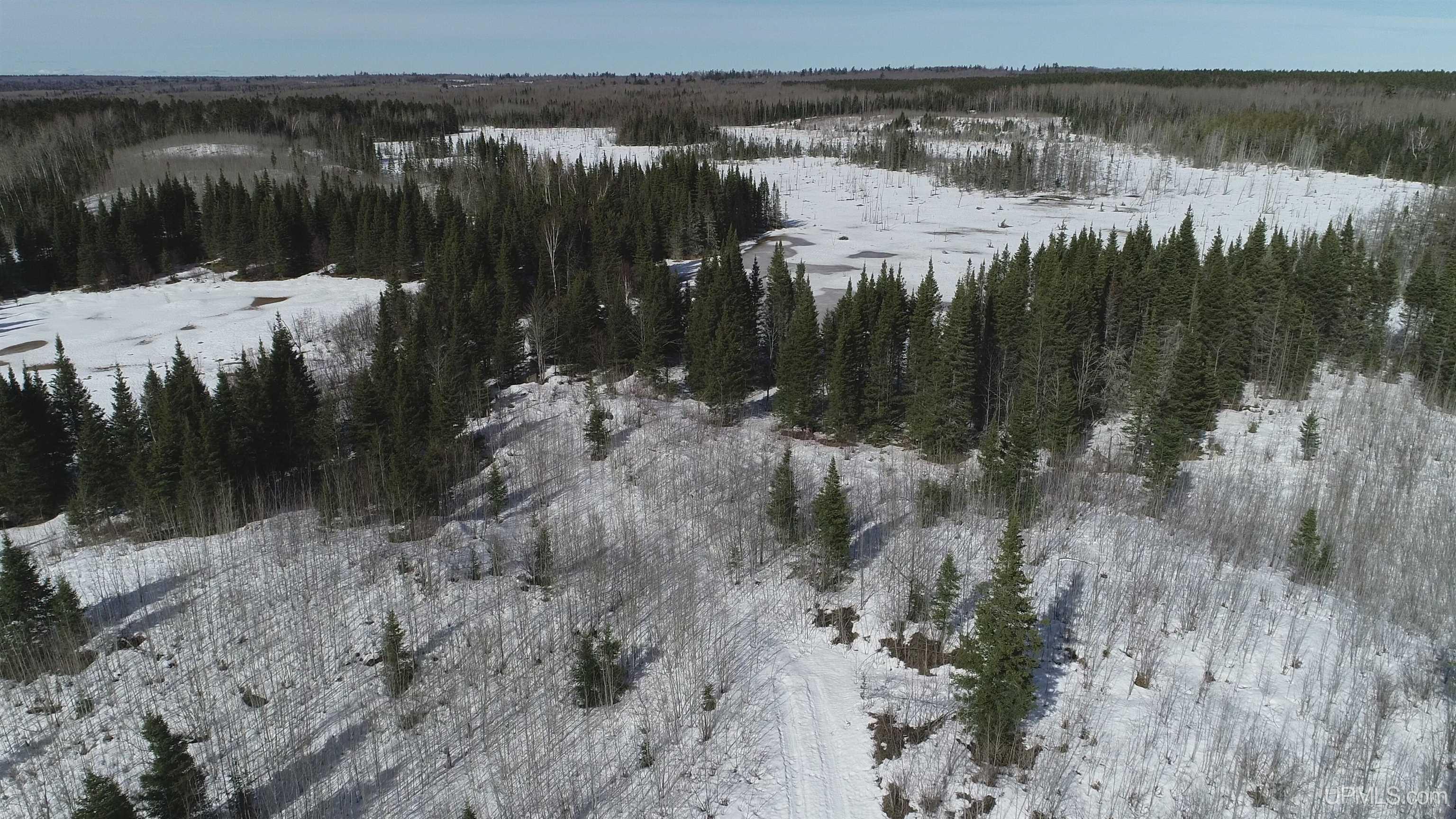 80 Acres 18 Road Property Photo 14