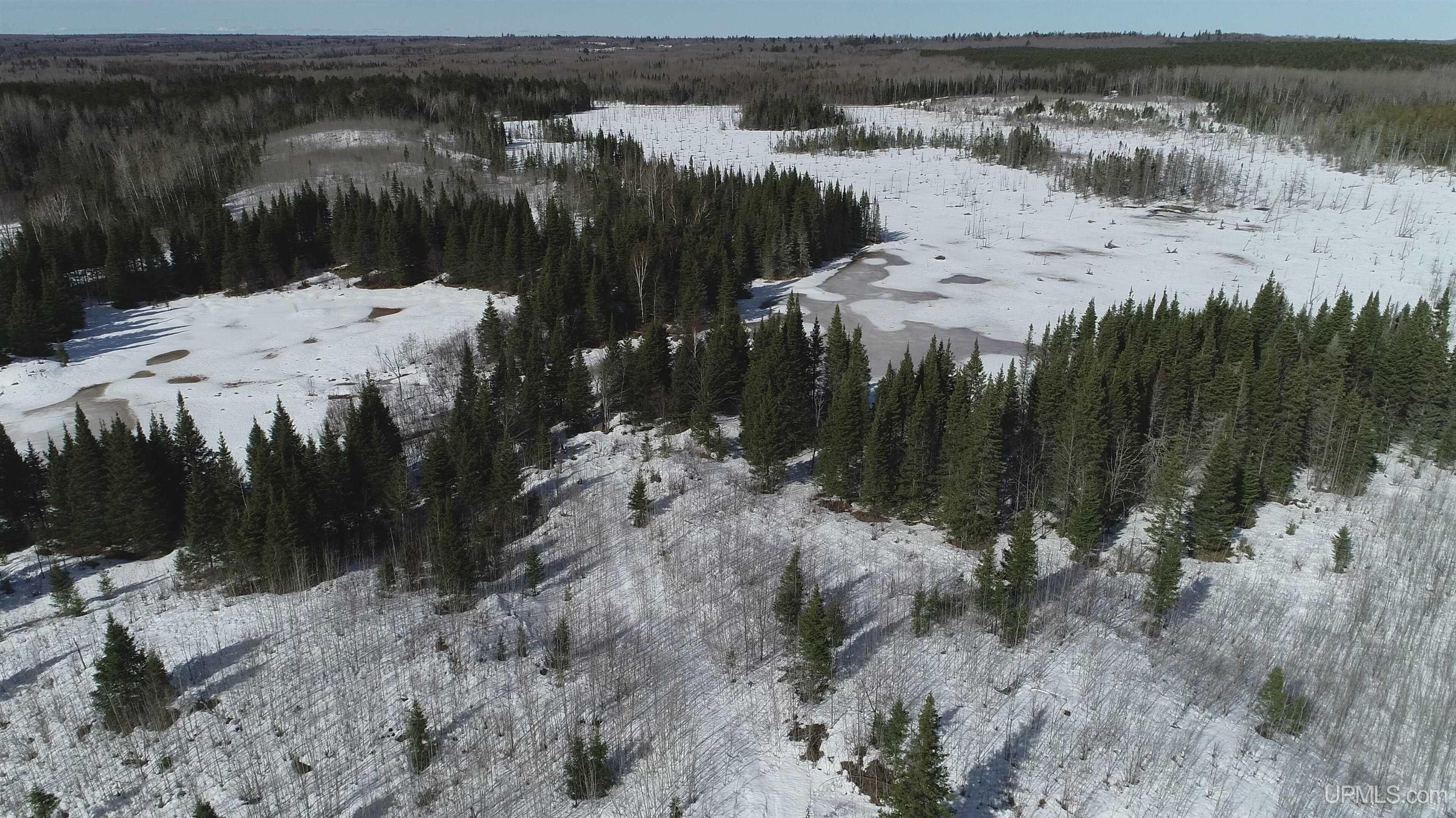 80 Acres 18 Road Property Photo 15