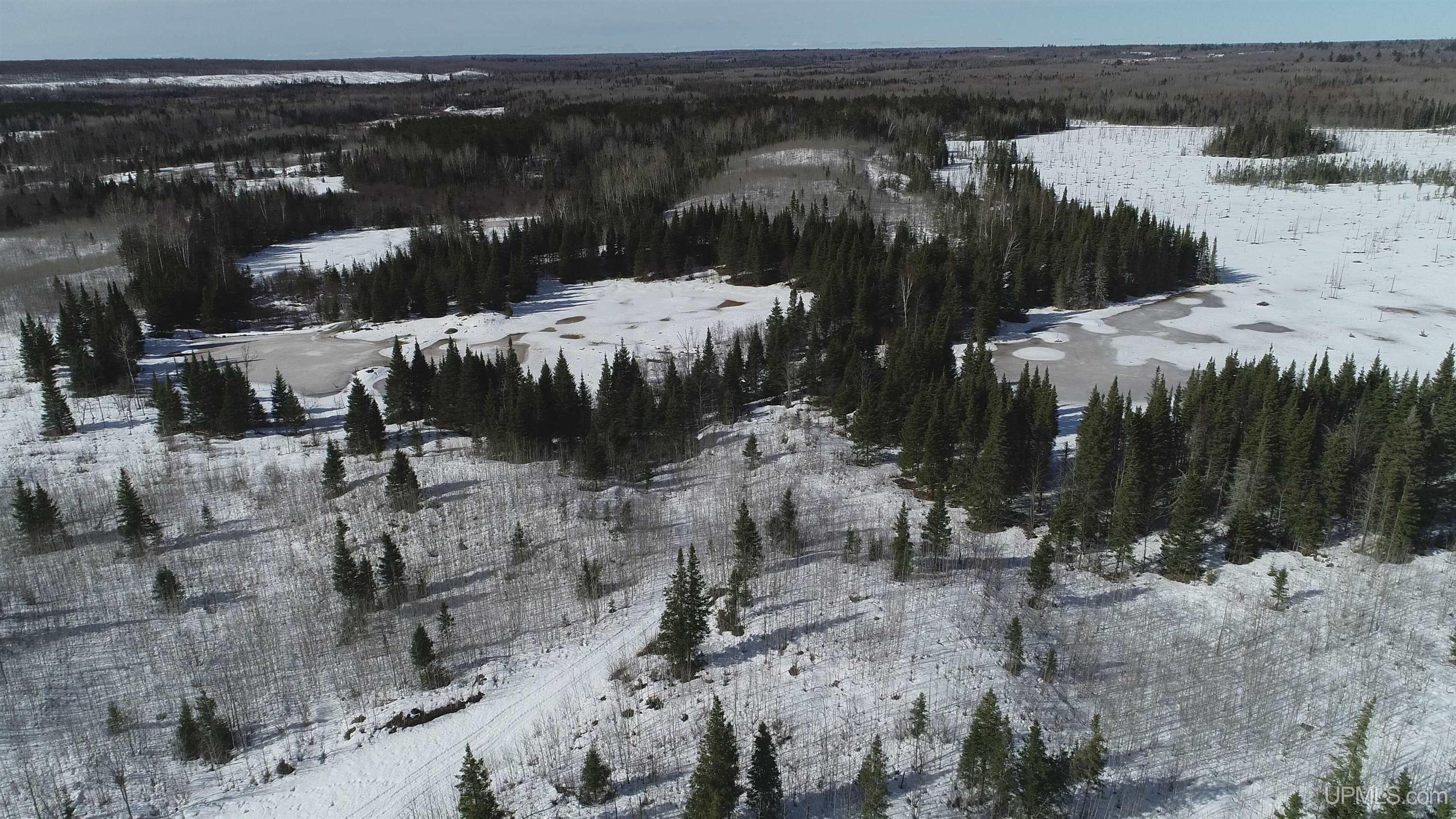 80 Acres 18 Road Property Photo 16
