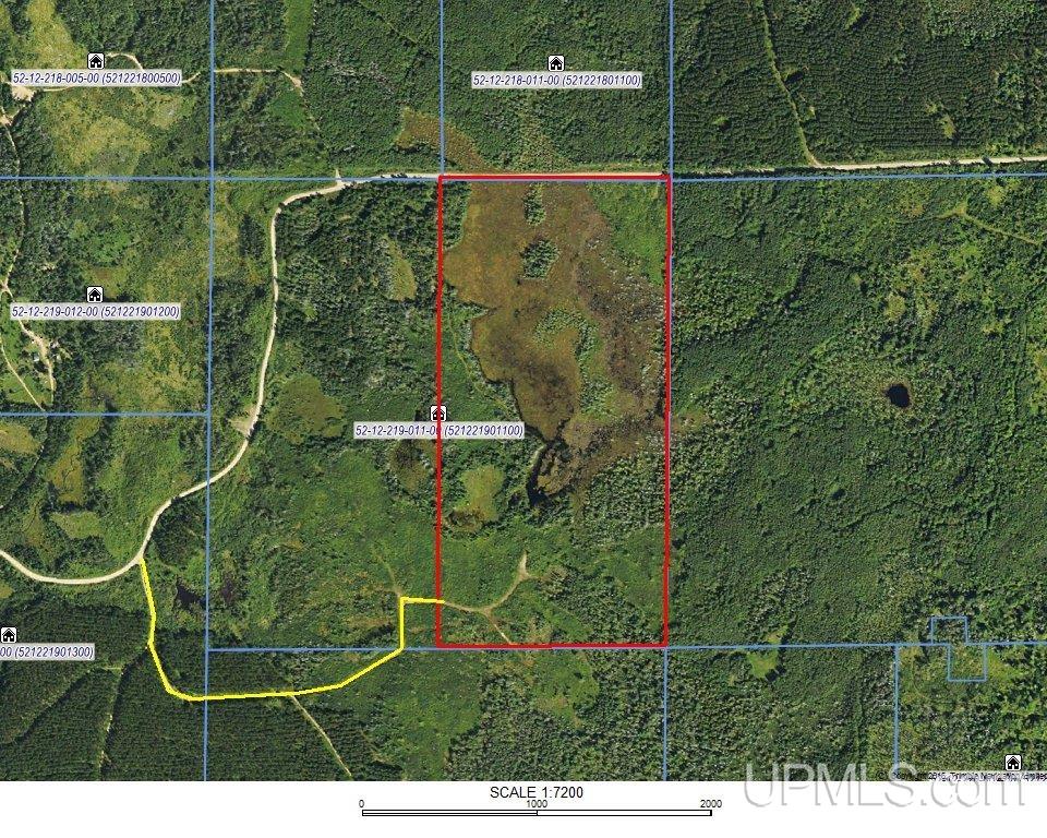 80 Acres 18 Road Property Photo 23