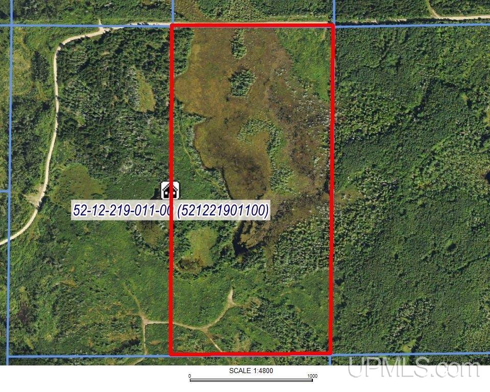 80 Acres 18 Road Property Photo 24