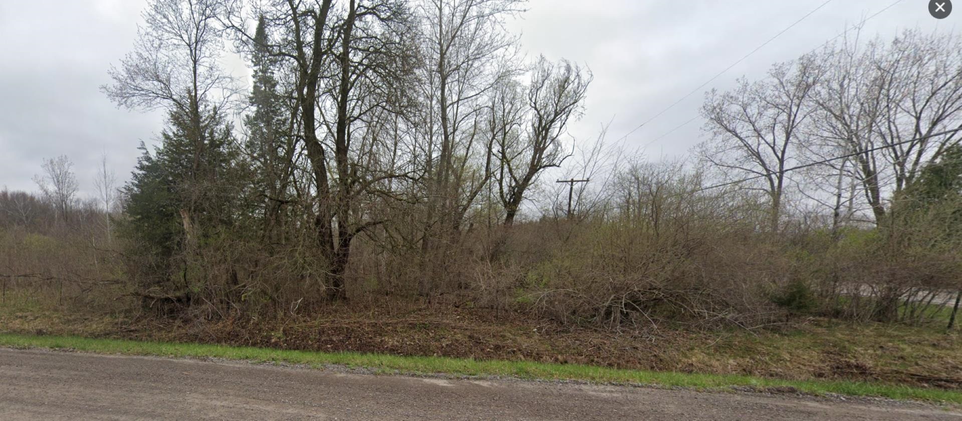 Vl W Frances Road Property Photo
