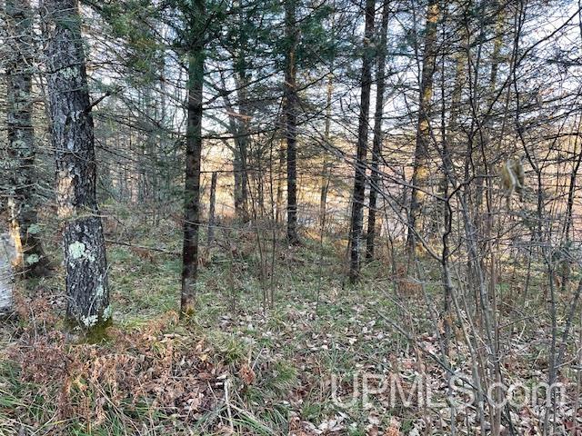 11812 E Howen Road Property Photo 4