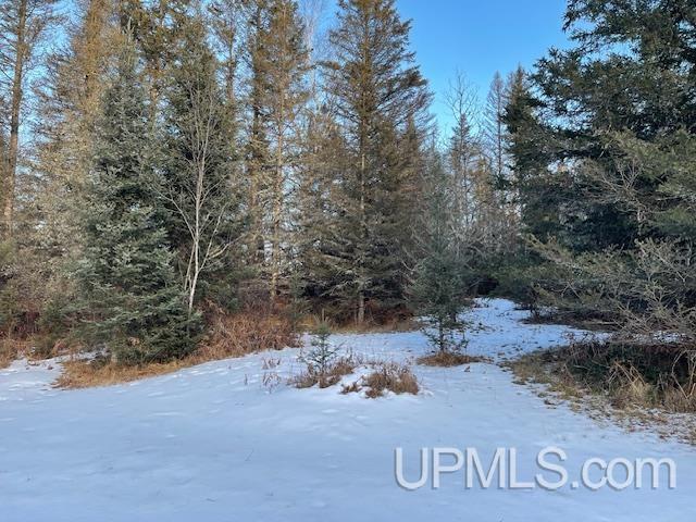 11812 E Howen Road Property Photo 7