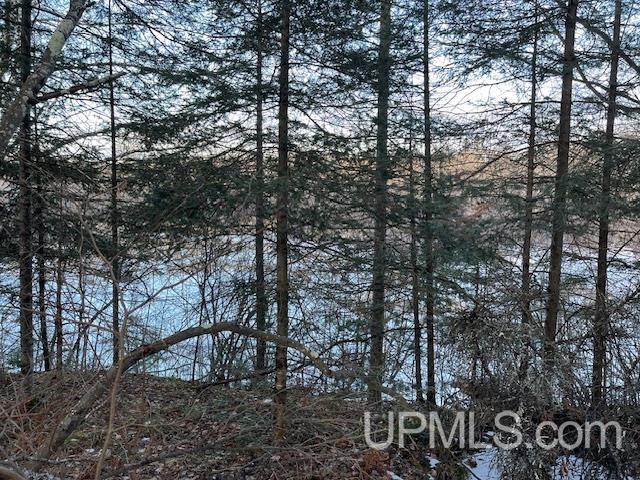 11812 E Howen Road Property Photo 9