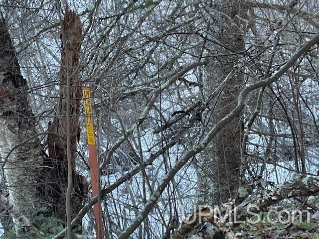 11812 E Howen Road Property Photo 11