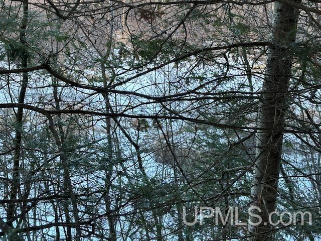 11812 E Howen Road Property Photo 16