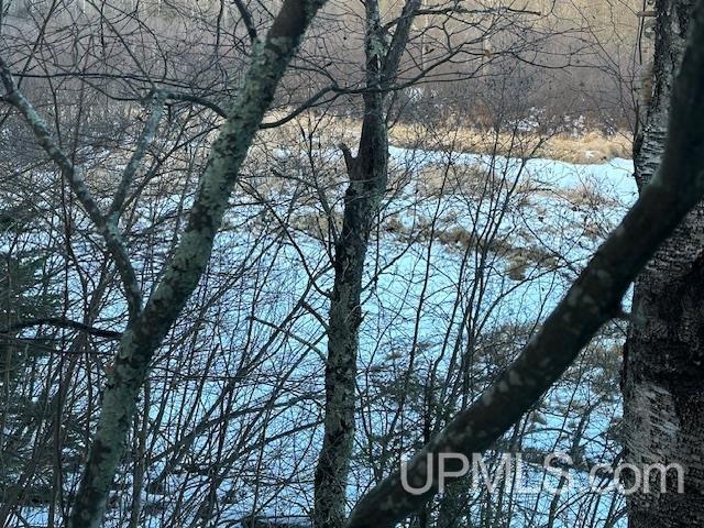 11812 E Howen Road Property Photo 17
