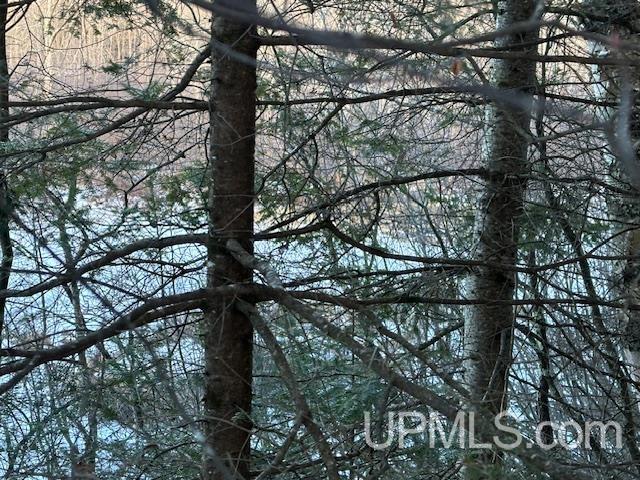 11812 E Howen Road Property Photo 18