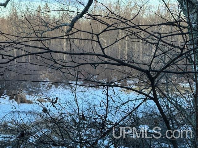 11812 E Howen Road Property Photo 19
