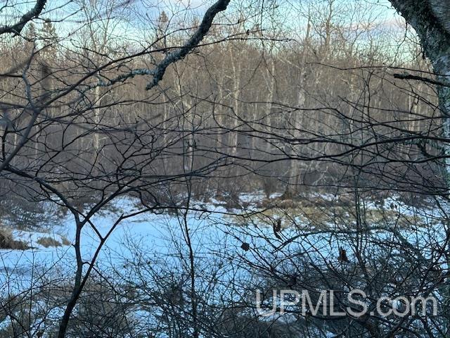 11812 E Howen Road Property Photo 20