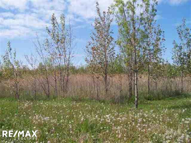 0 Gratiot Avenue Property Photo 3