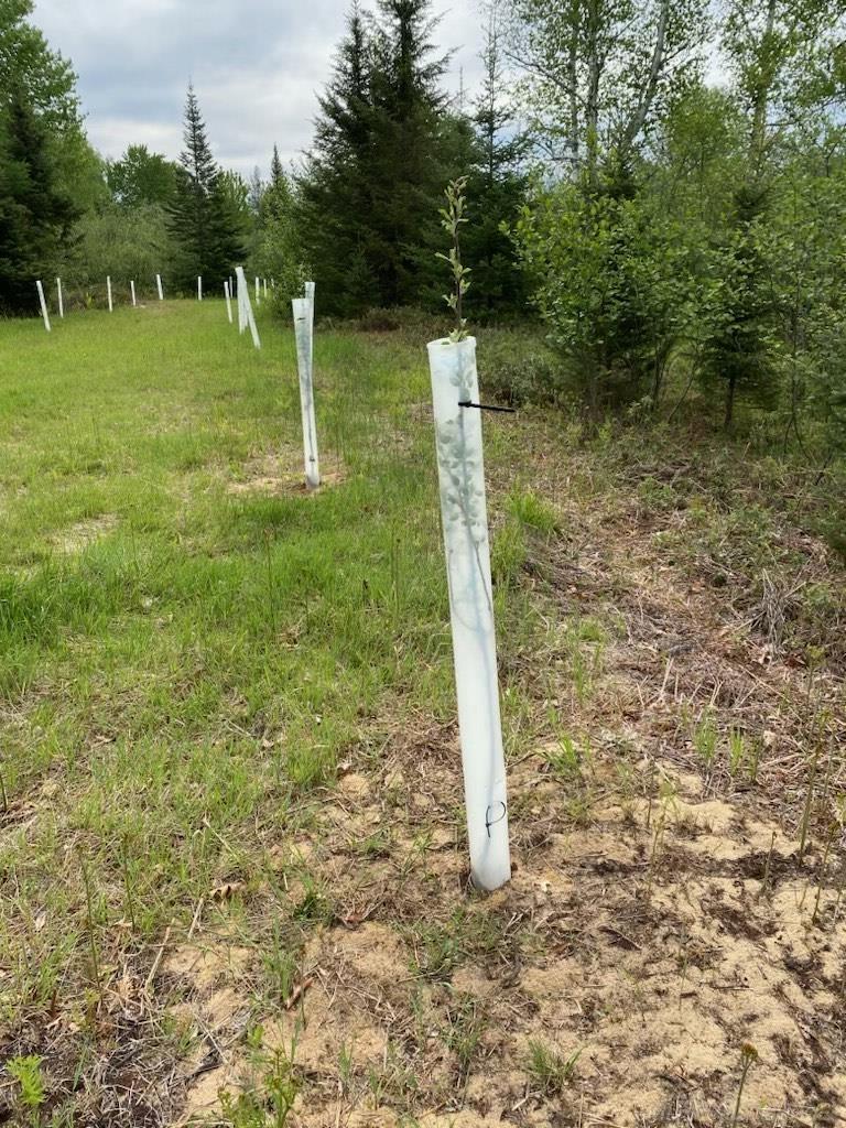 4011 Sandall Road Property Photo 8