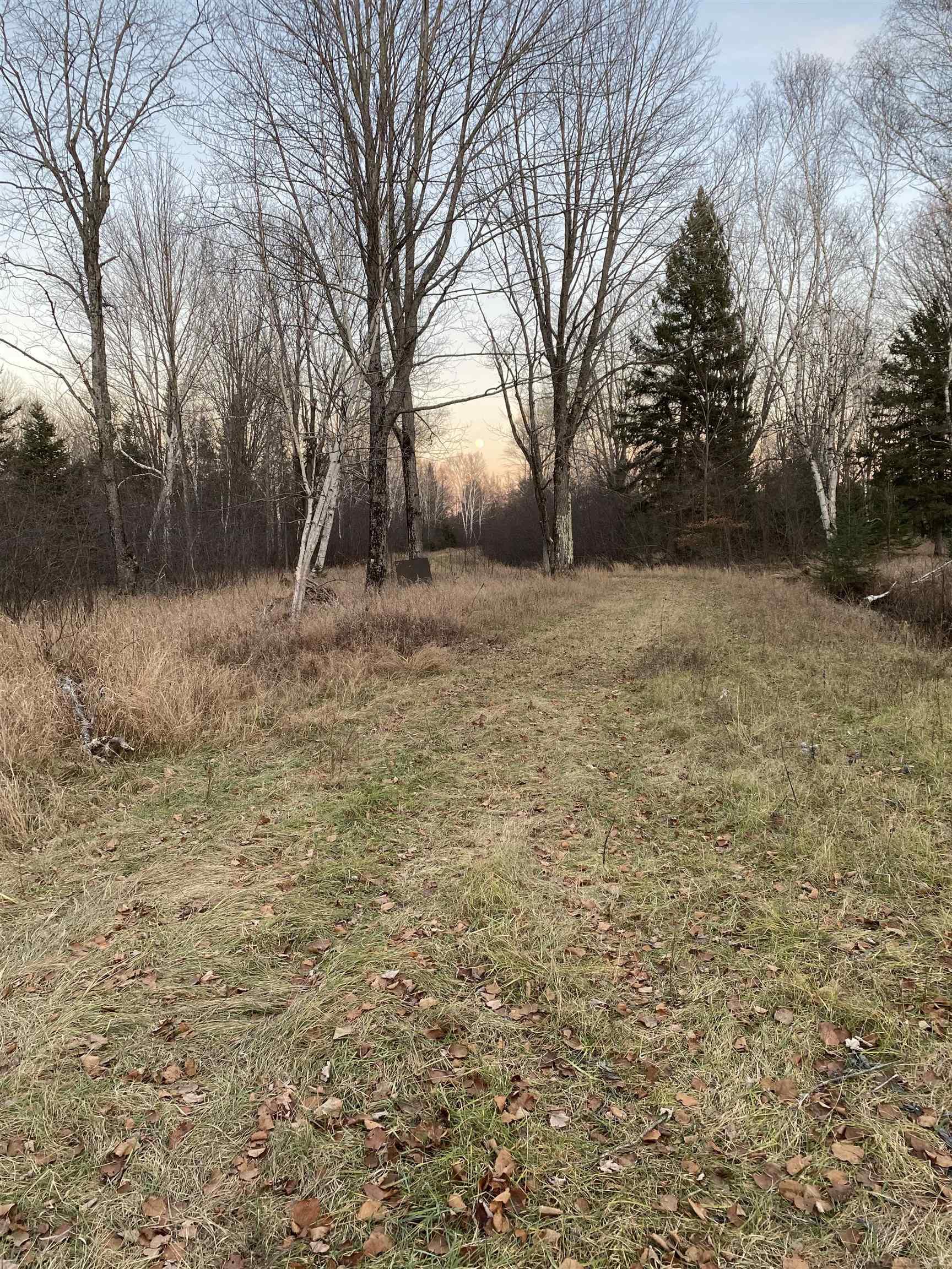 4011 Sandall Road Property Photo 40