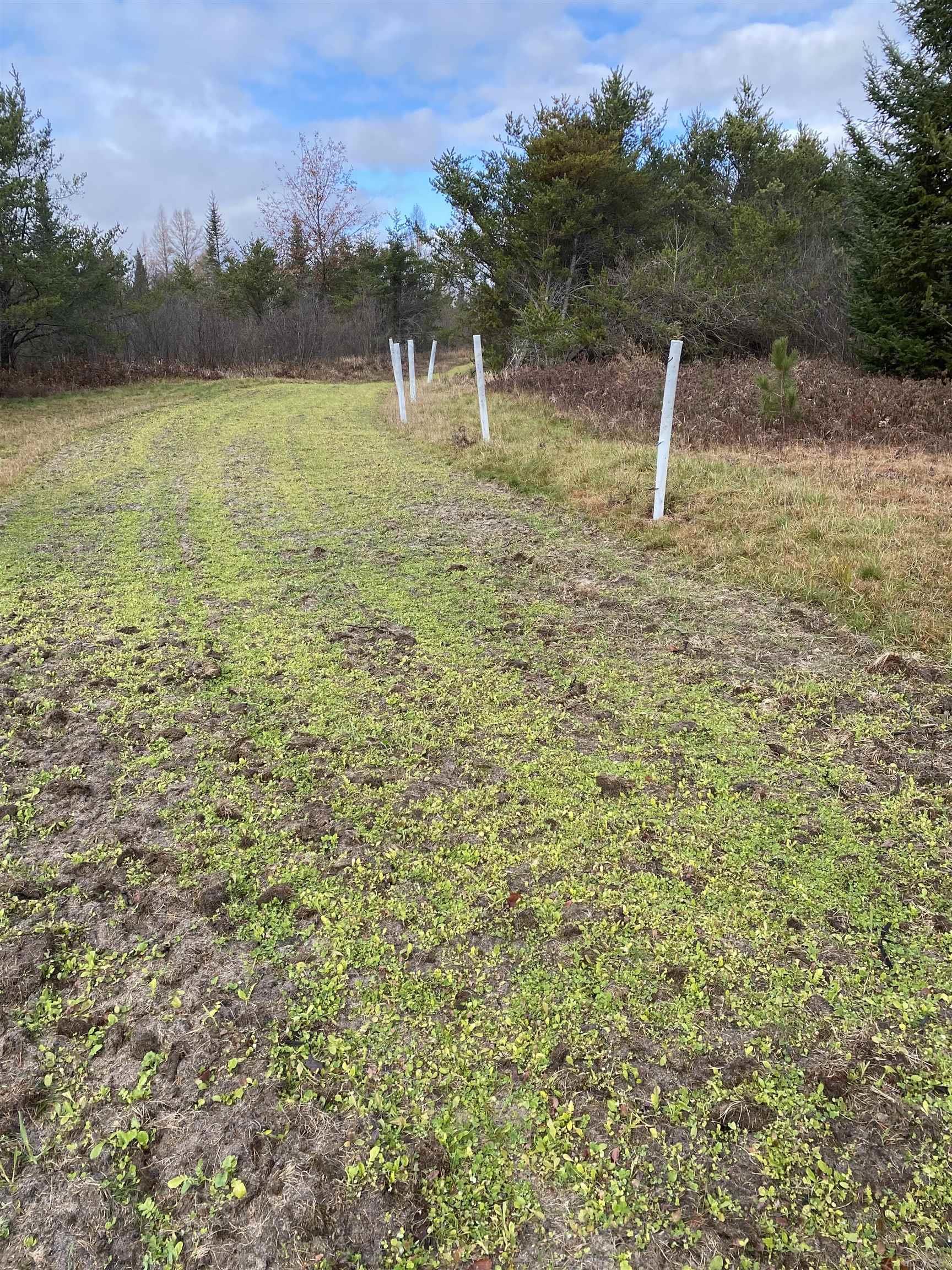 4011 Sandall Road Property Photo 57