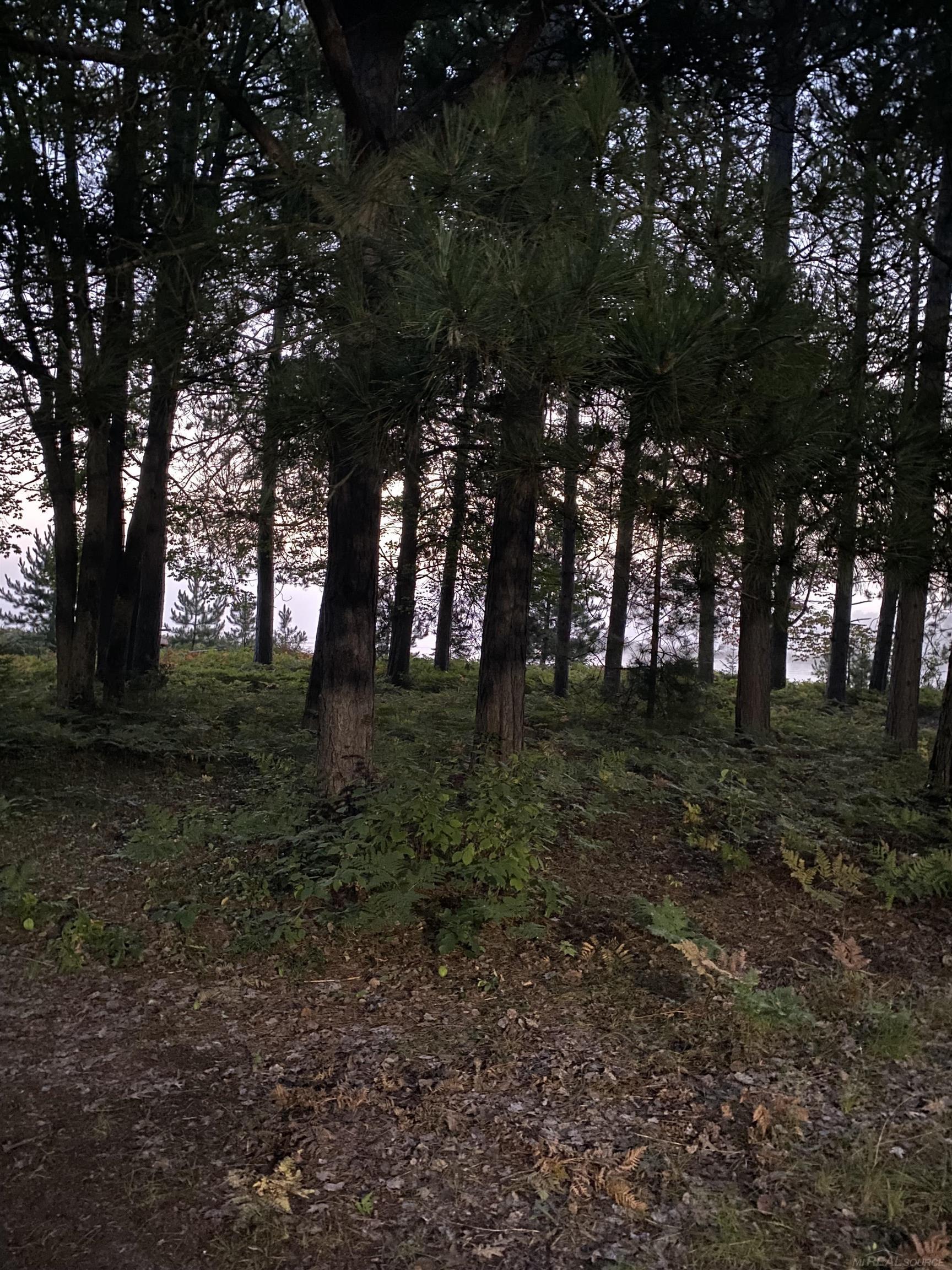 4011 Sandall Road Property Photo 68