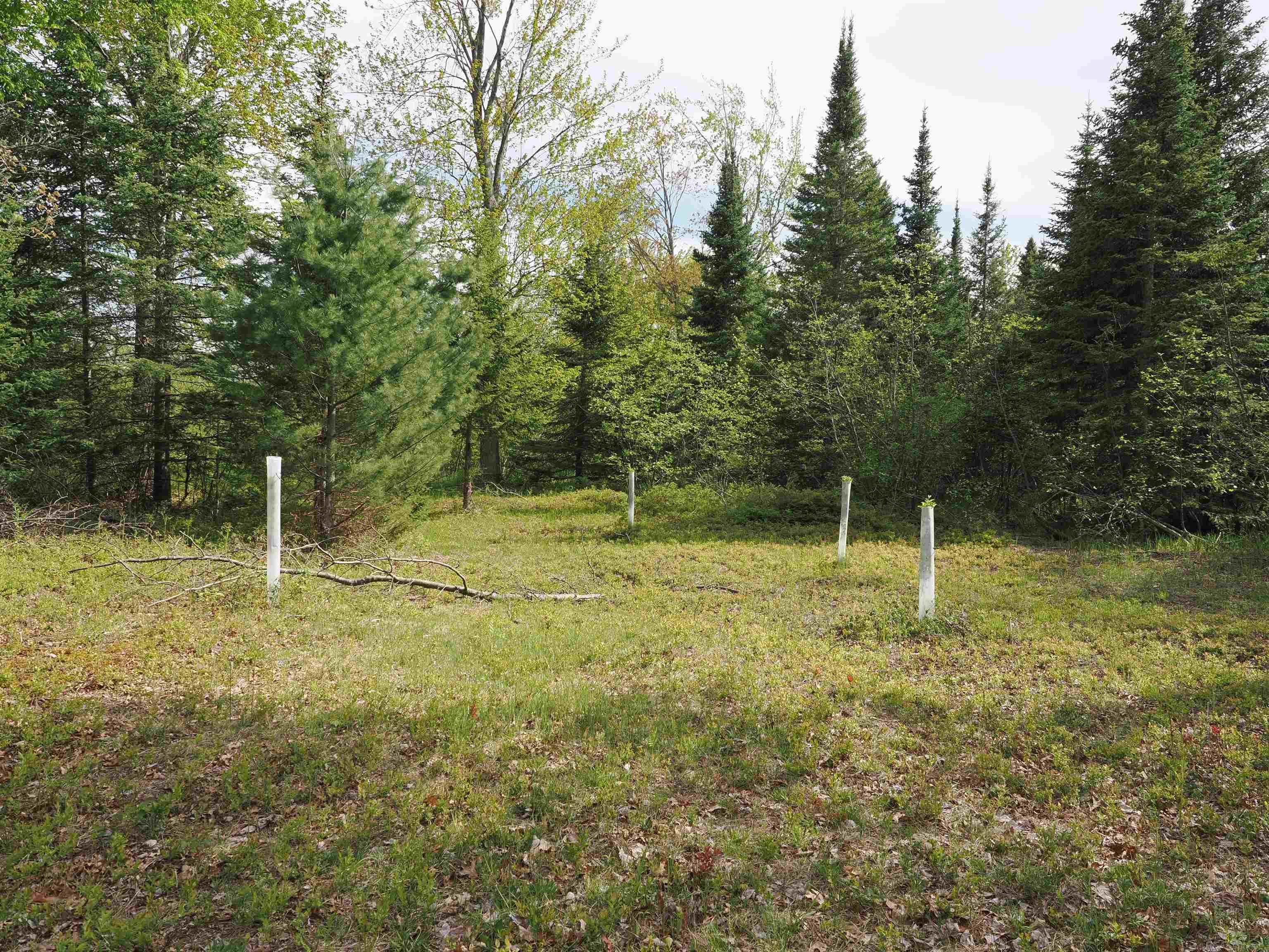 4011 Sandall Road Property Photo 76