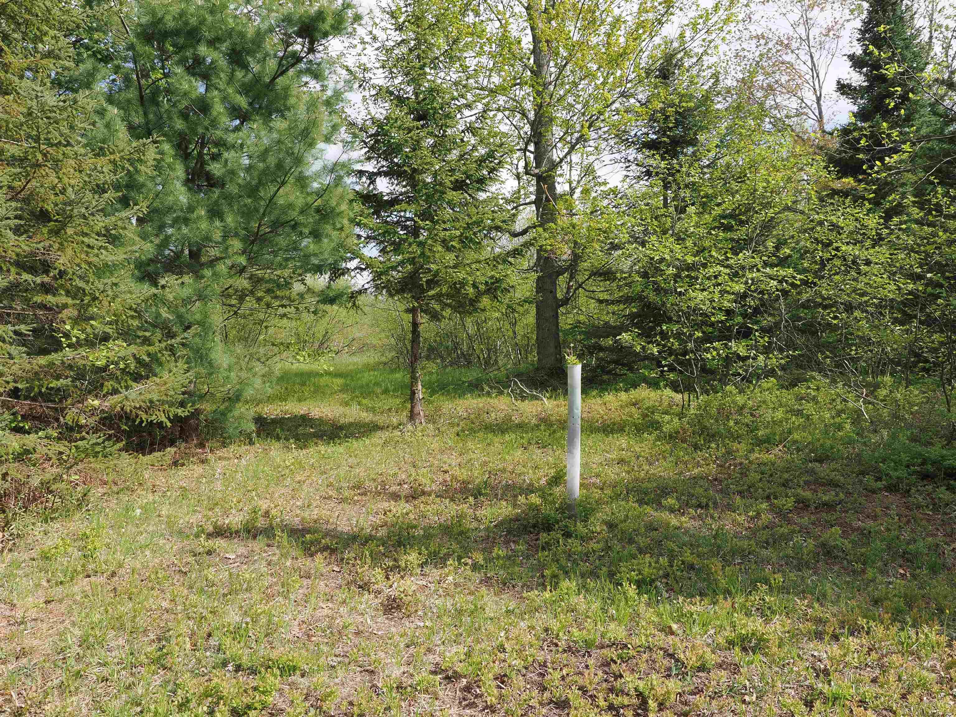 4011 Sandall Road Property Photo 77