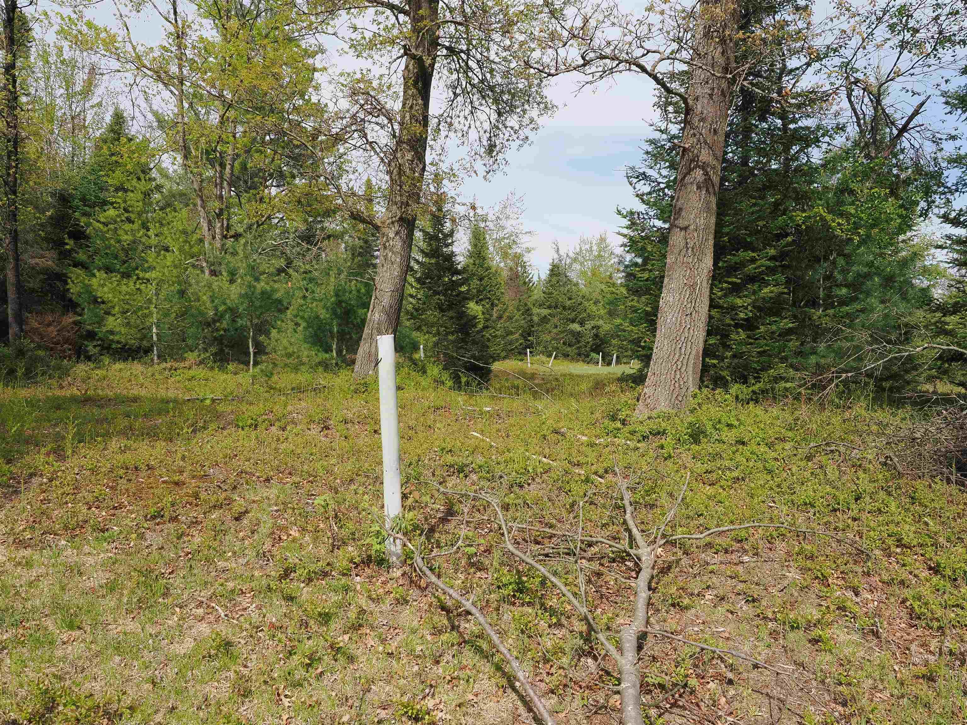 4011 Sandall Road Property Photo 78