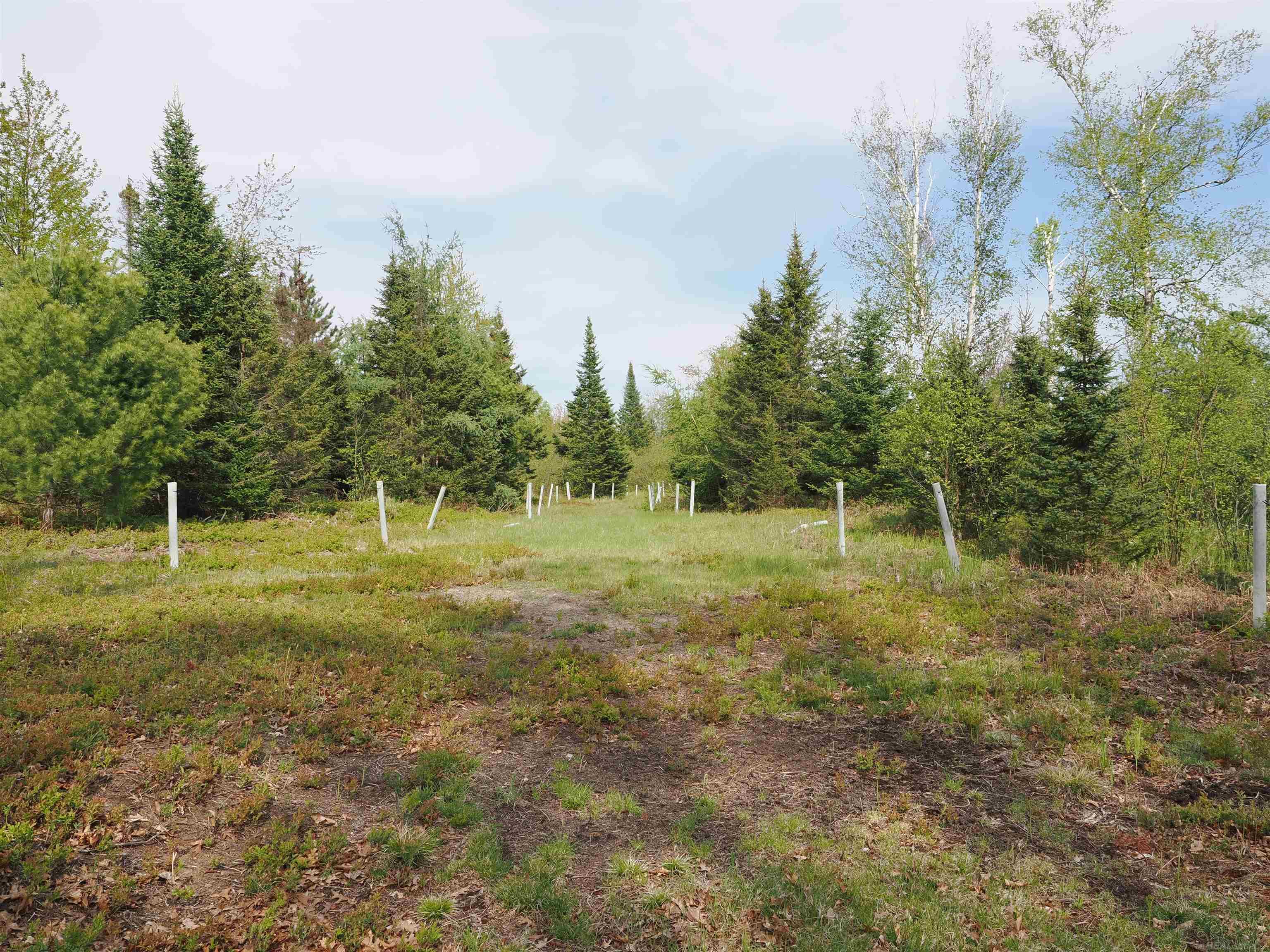 4011 Sandall Road Property Photo 80