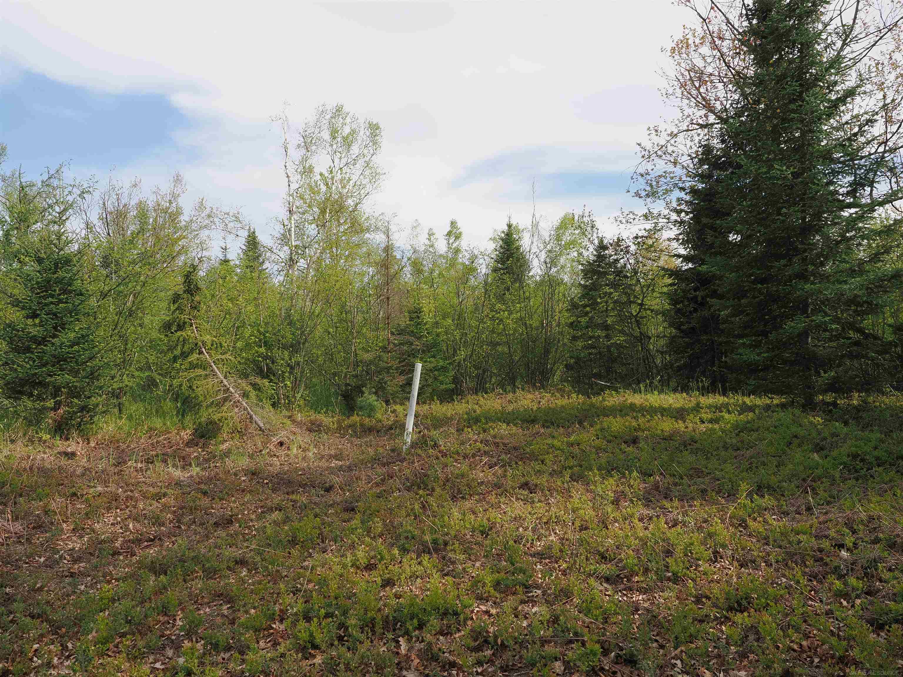 4011 Sandall Road Property Photo 81