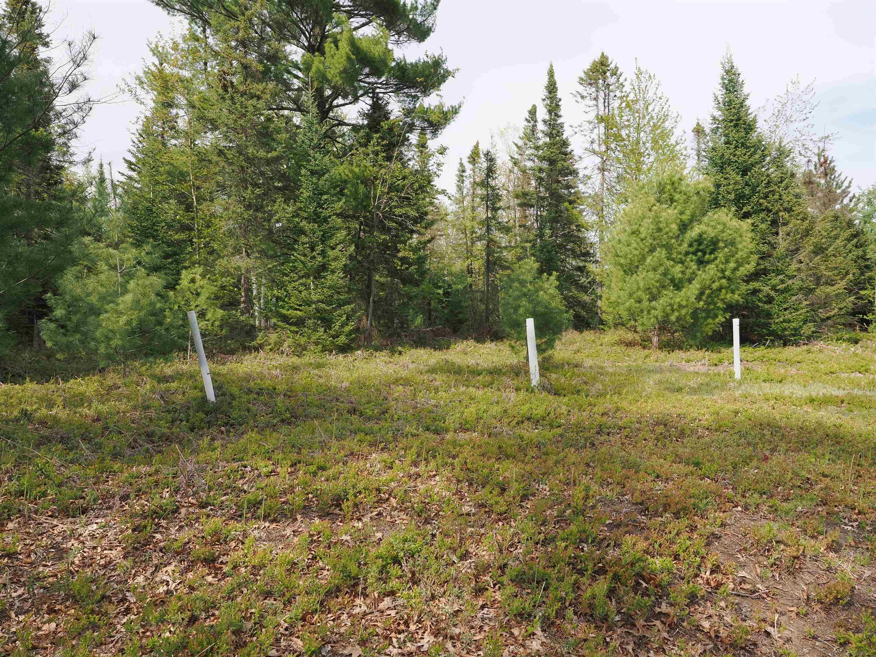 4011 Sandall Road Property Photo 82
