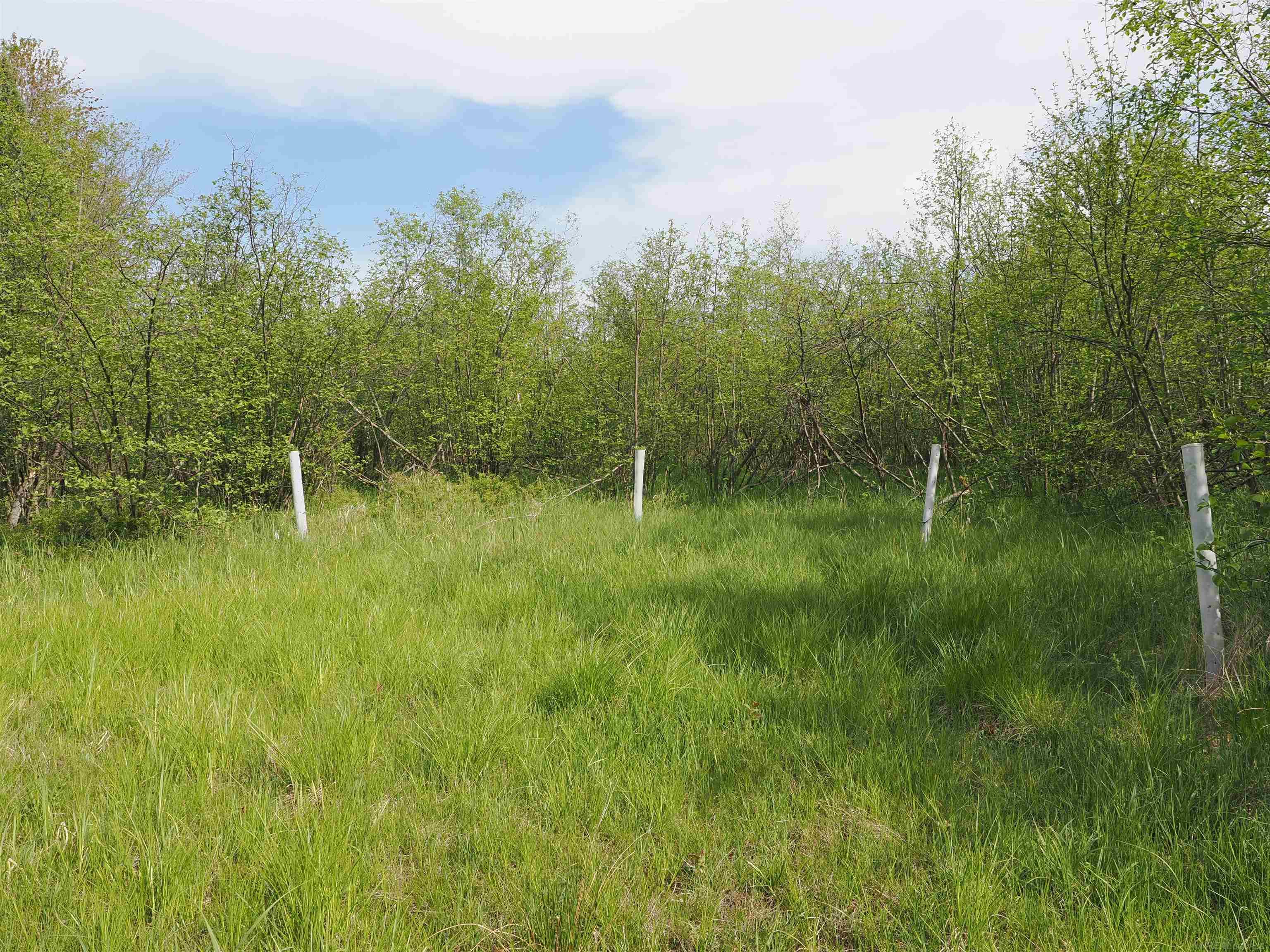 4011 Sandall Road Property Photo 83