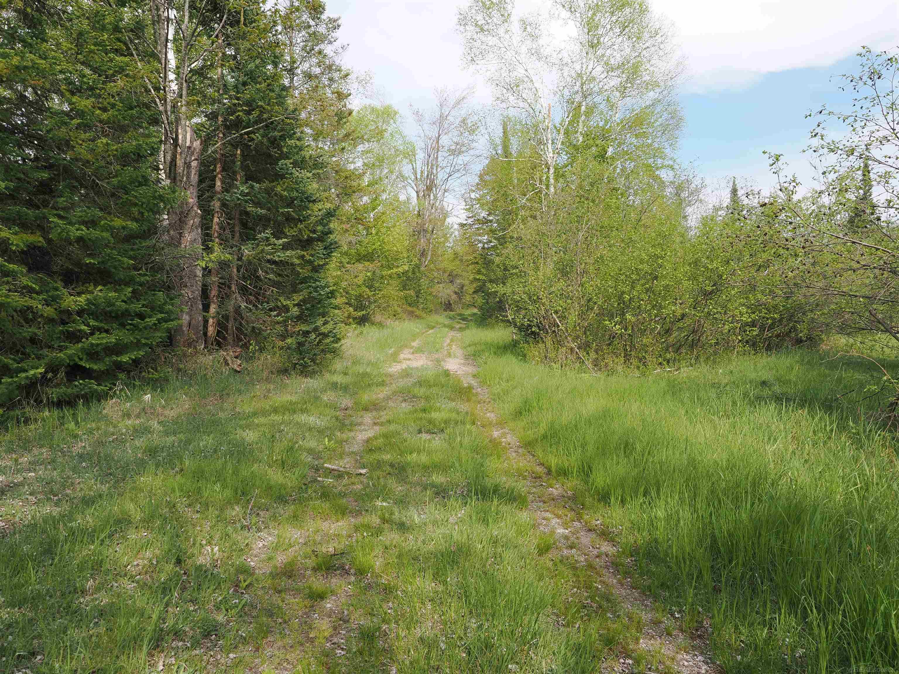 4011 Sandall Road Property Photo 84