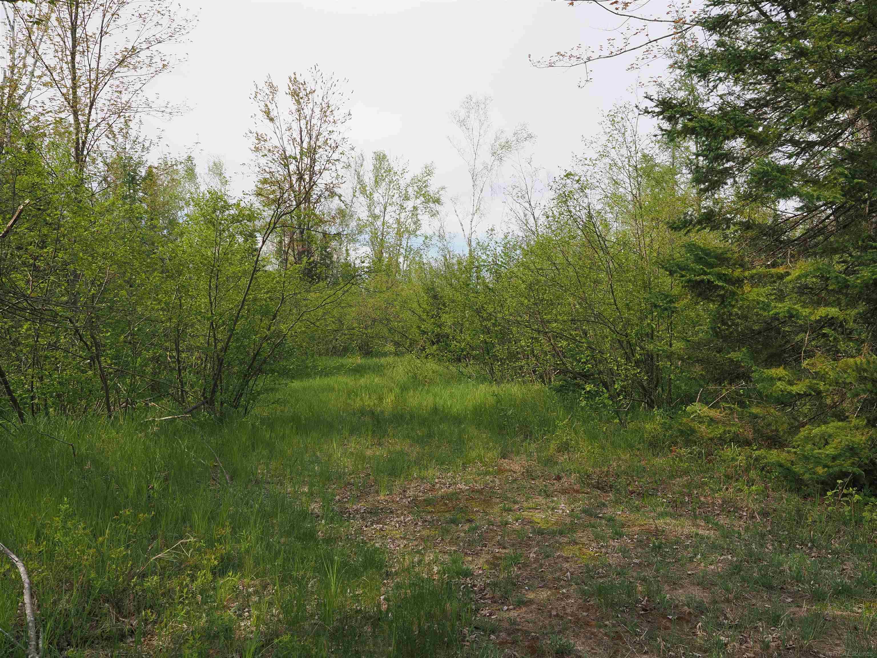 4011 Sandall Road Property Photo 85