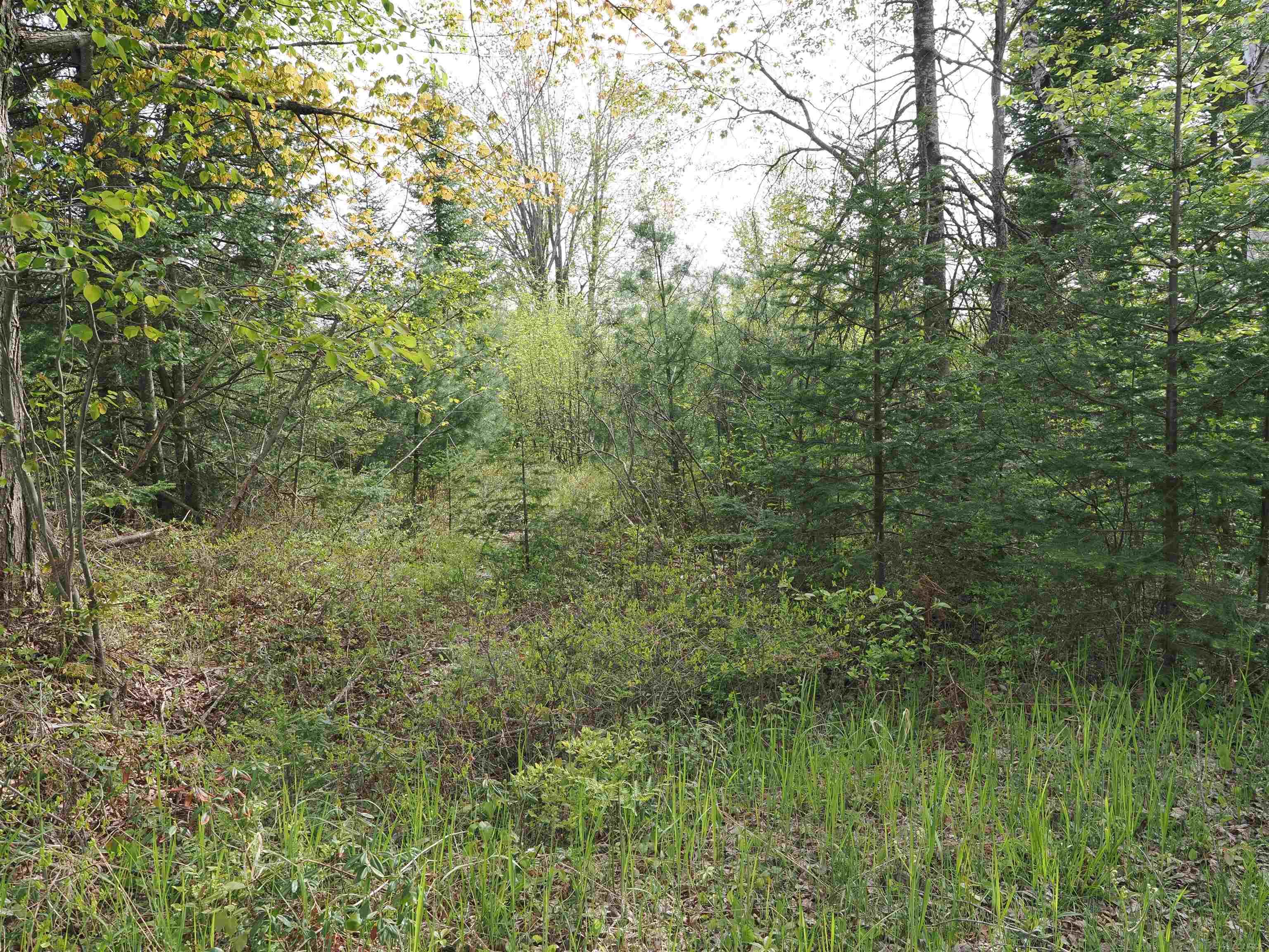 4011 Sandall Road Property Photo 86