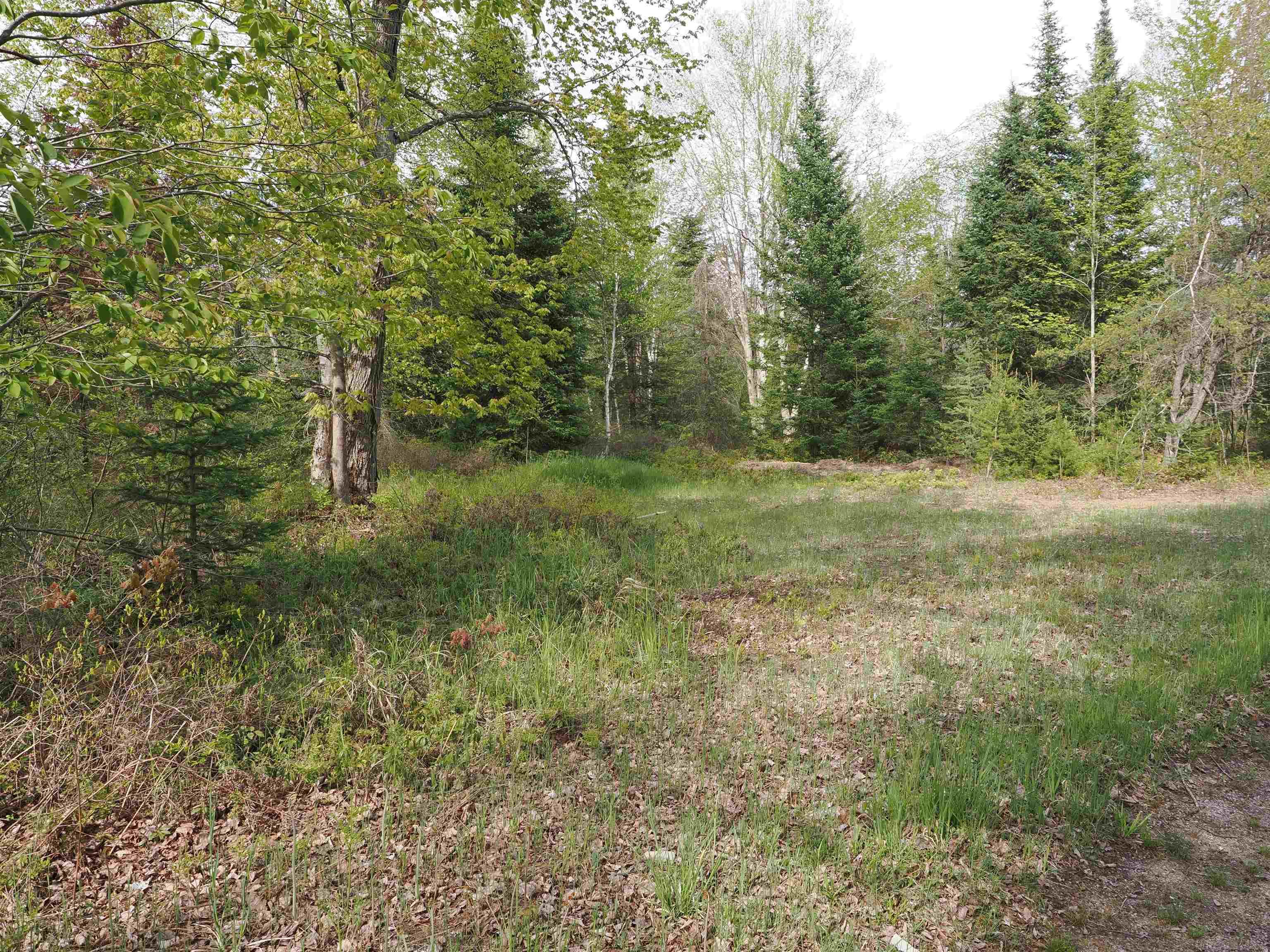 4011 Sandall Road Property Photo 87