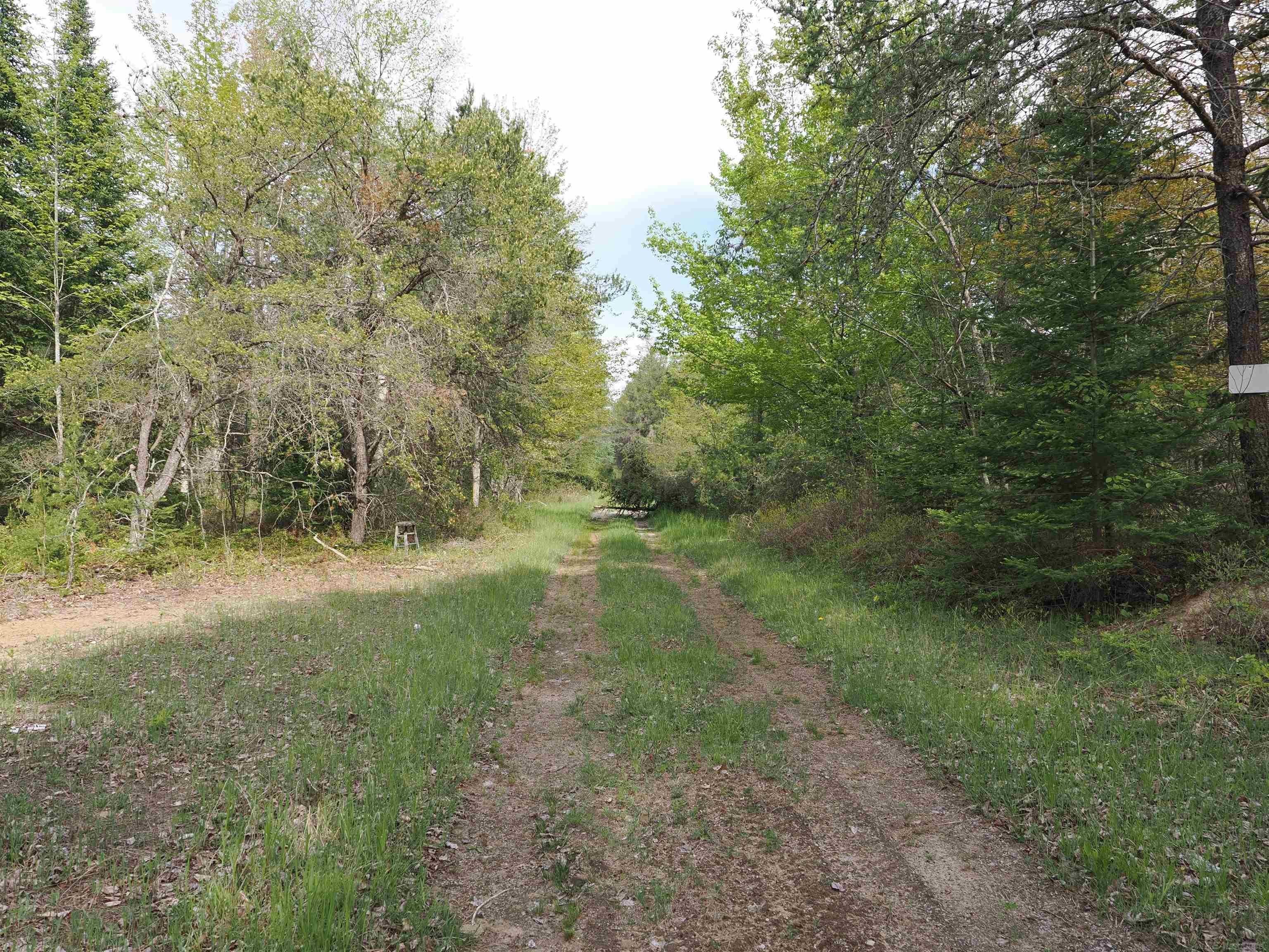 4011 Sandall Road Property Photo 88